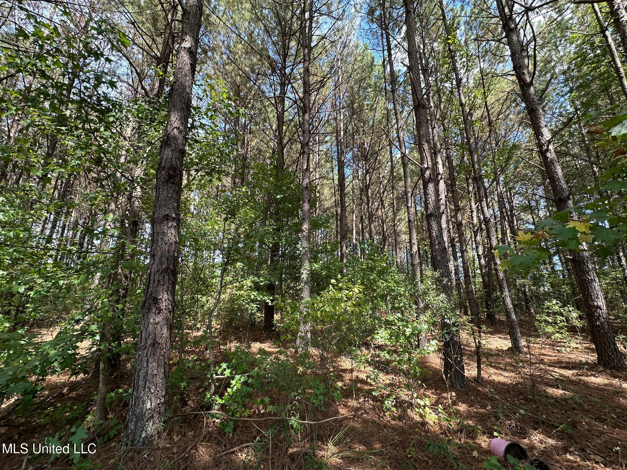 624 Caraway Road Property Photo 11