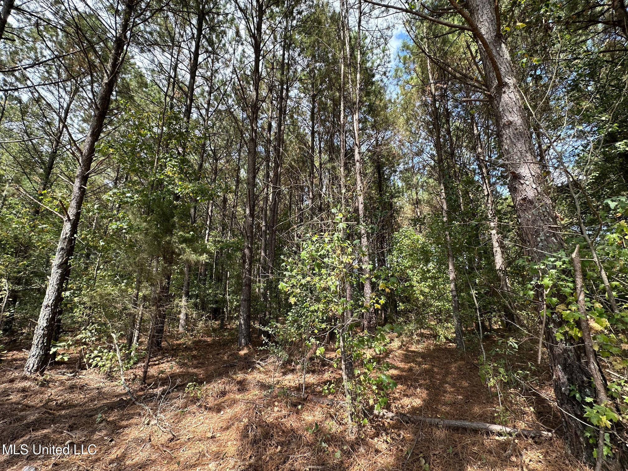 624 Caraway Road Property Photo 12