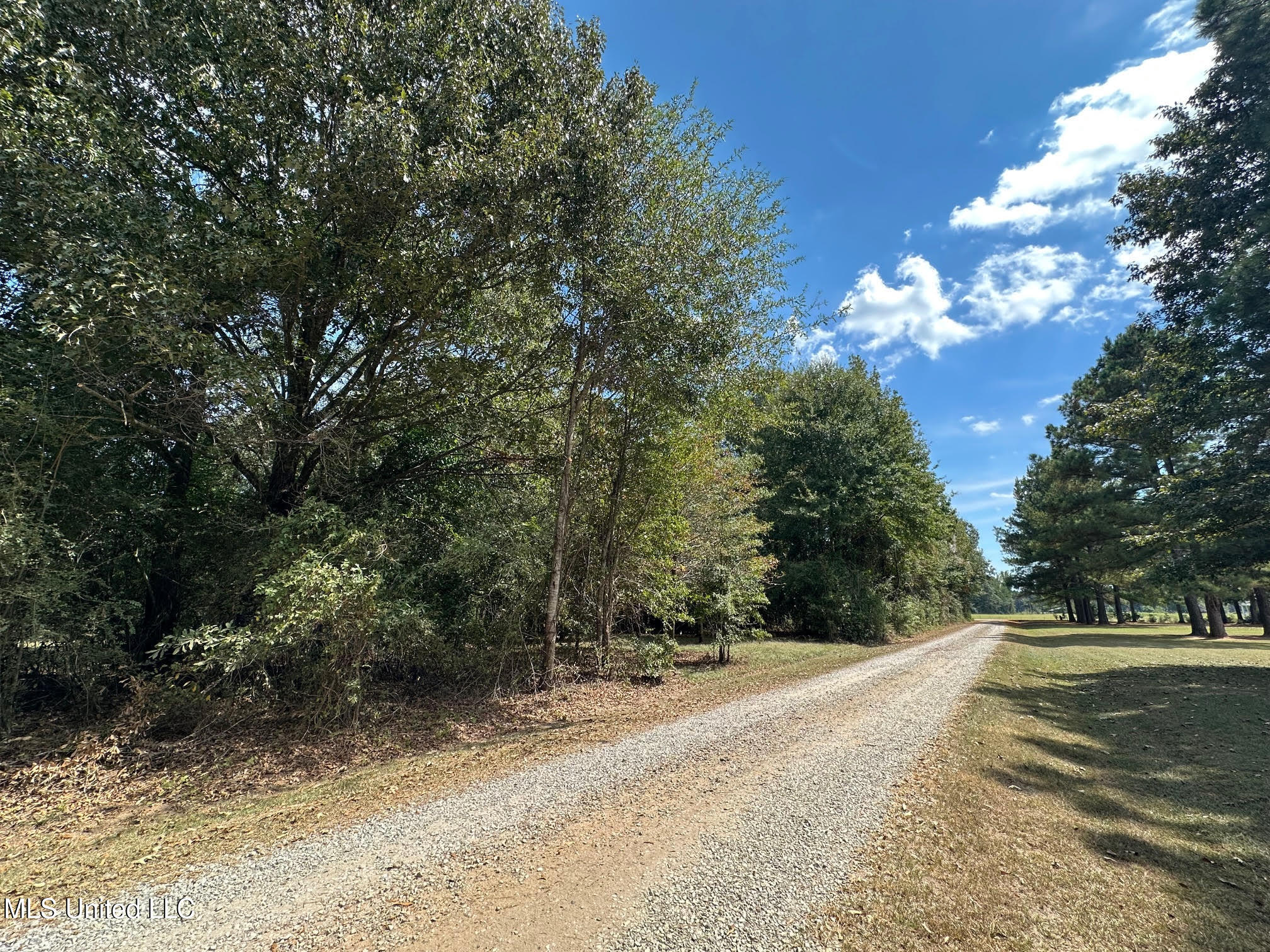 624 Caraway Road Property Photo 13