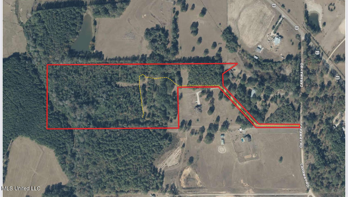 624 Caraway Road Property Photo 20