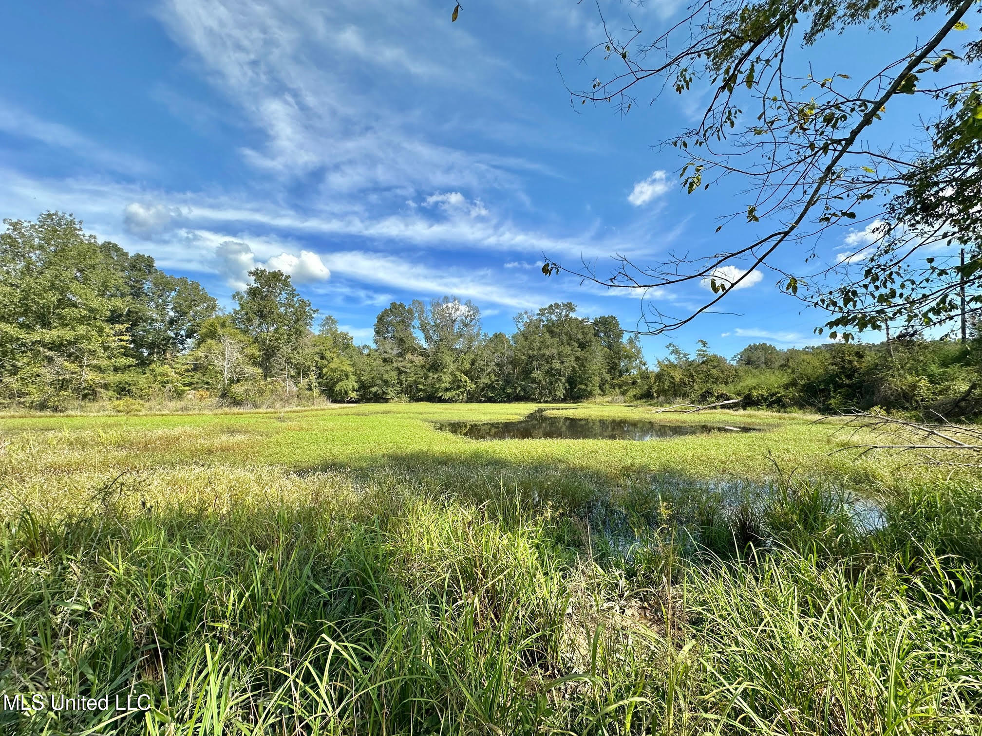 1 Highway 35 Property Photo 8