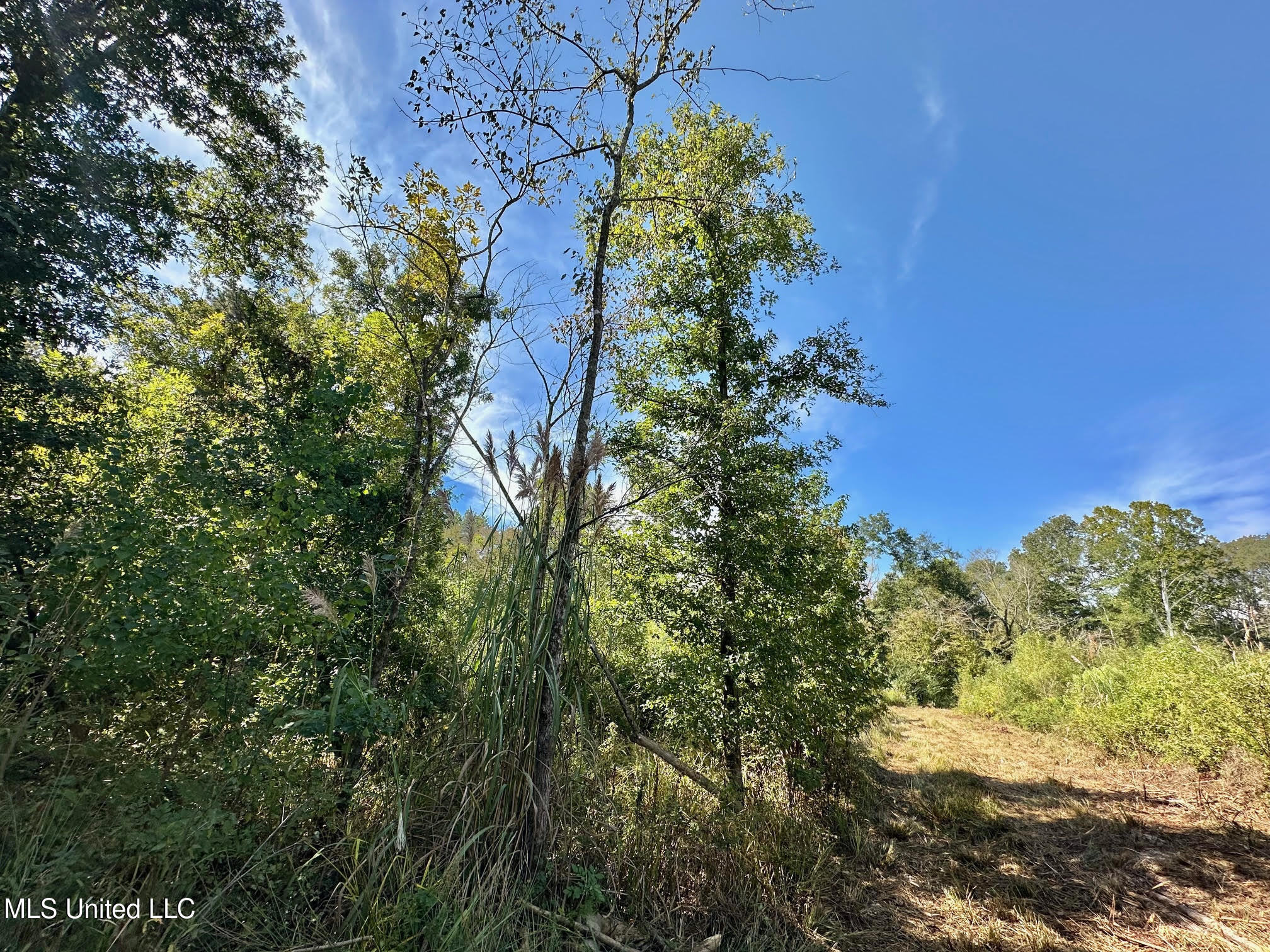 1 Highway 35 Property Photo 9