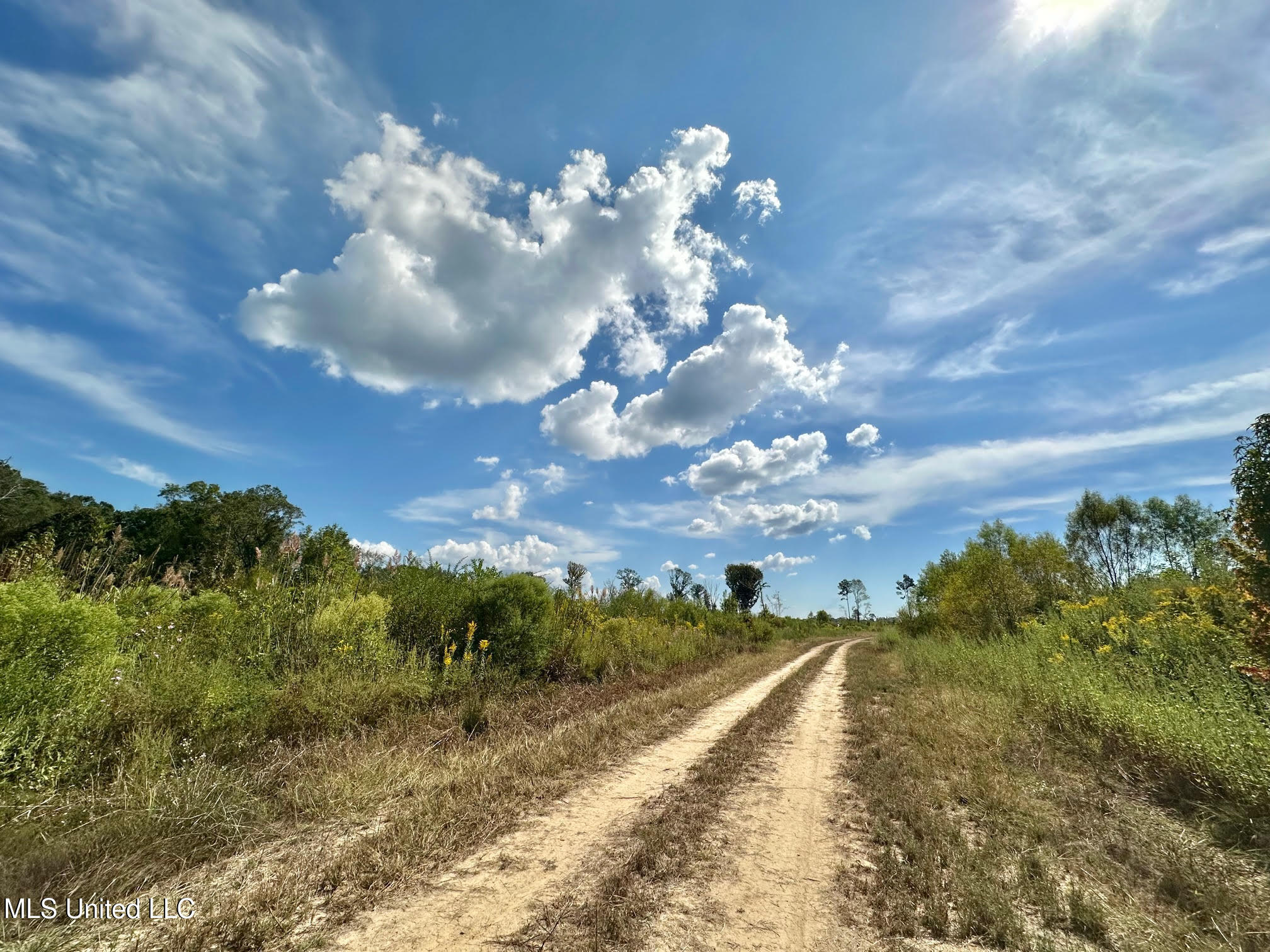 1 Highway 35 Property Photo 22