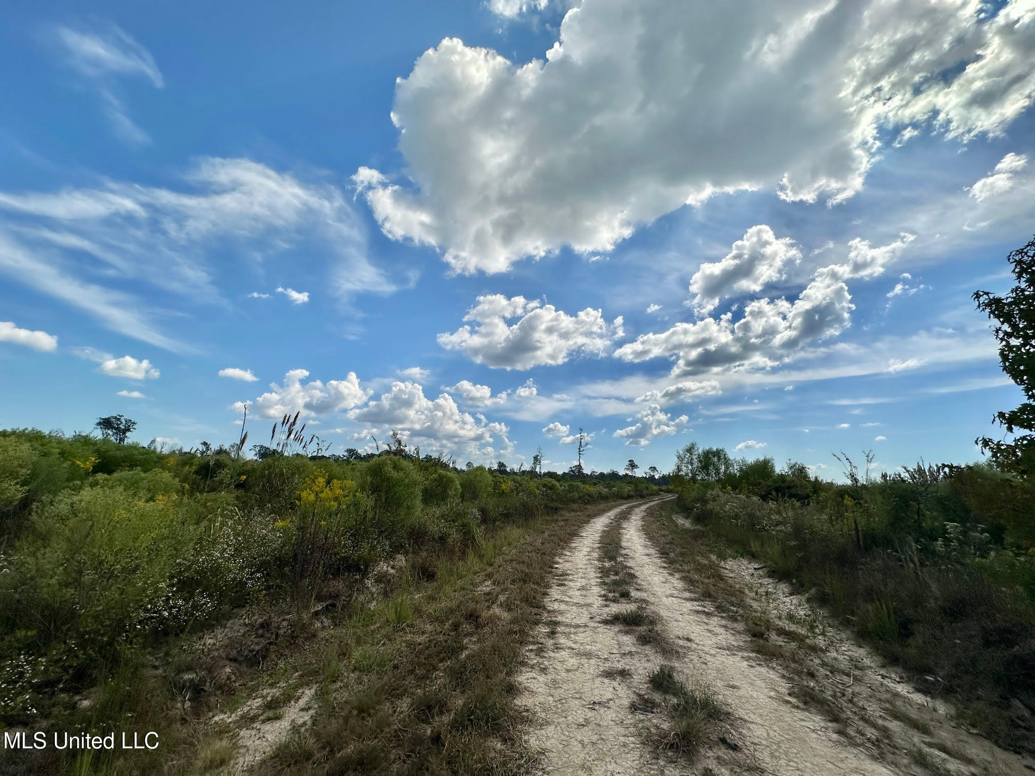 1 Highway 35 Property Photo 23