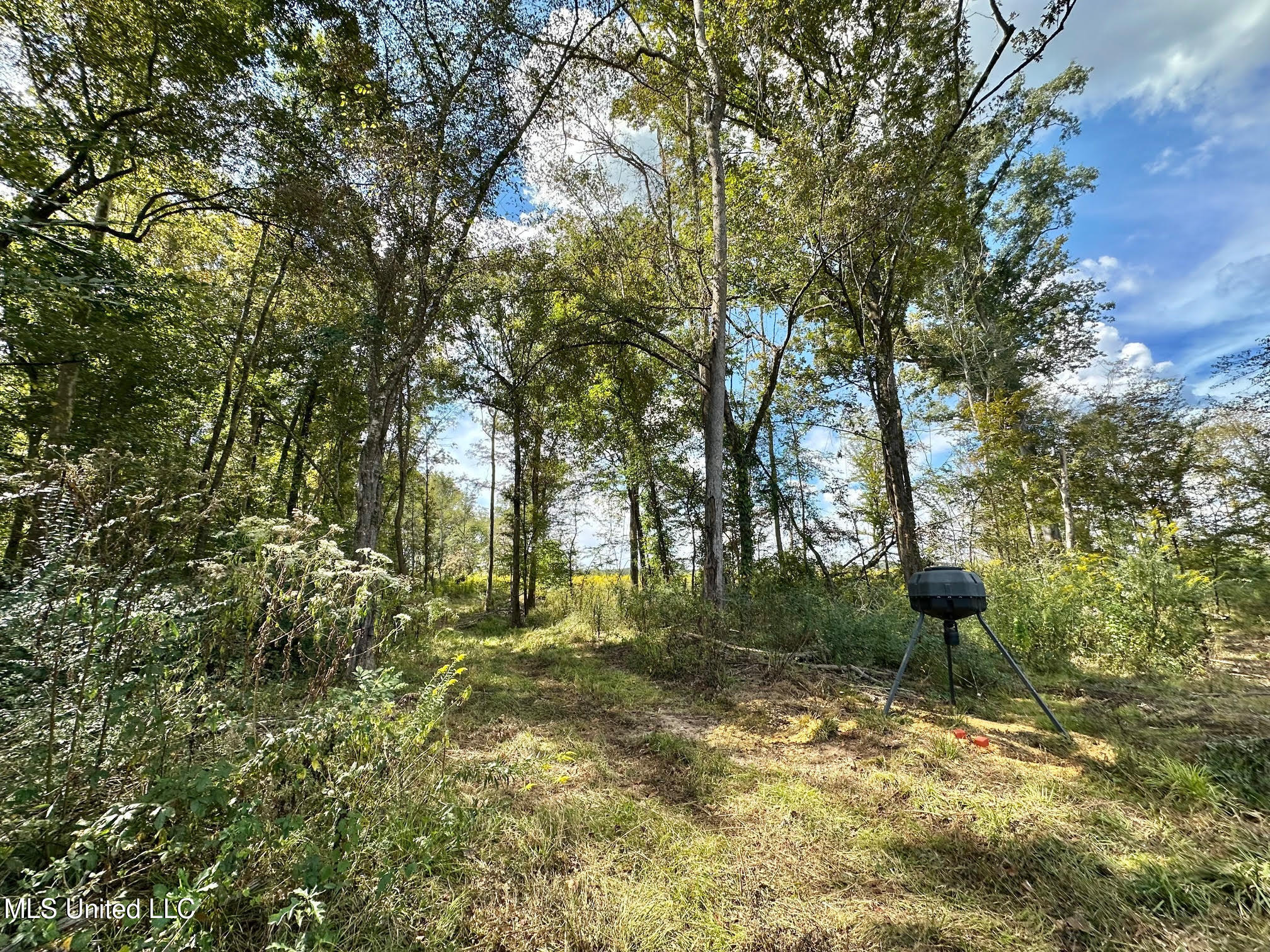 1 Highway 35 Property Photo 28