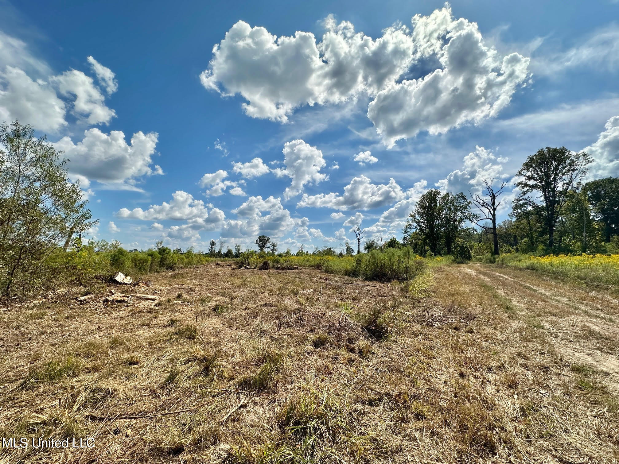 1 Highway 35 Property Photo 33