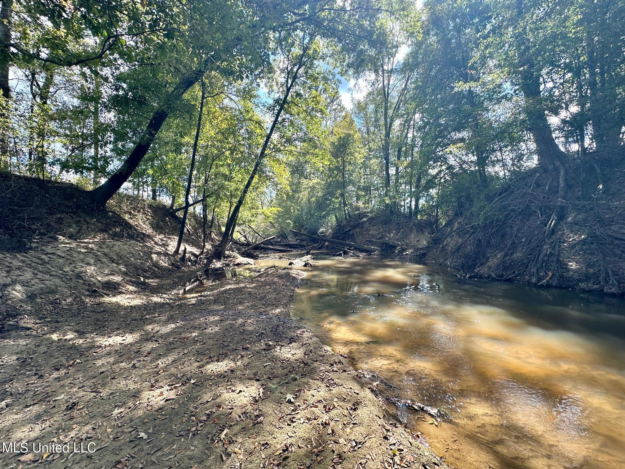 1 Highway 35 Property Photo 35