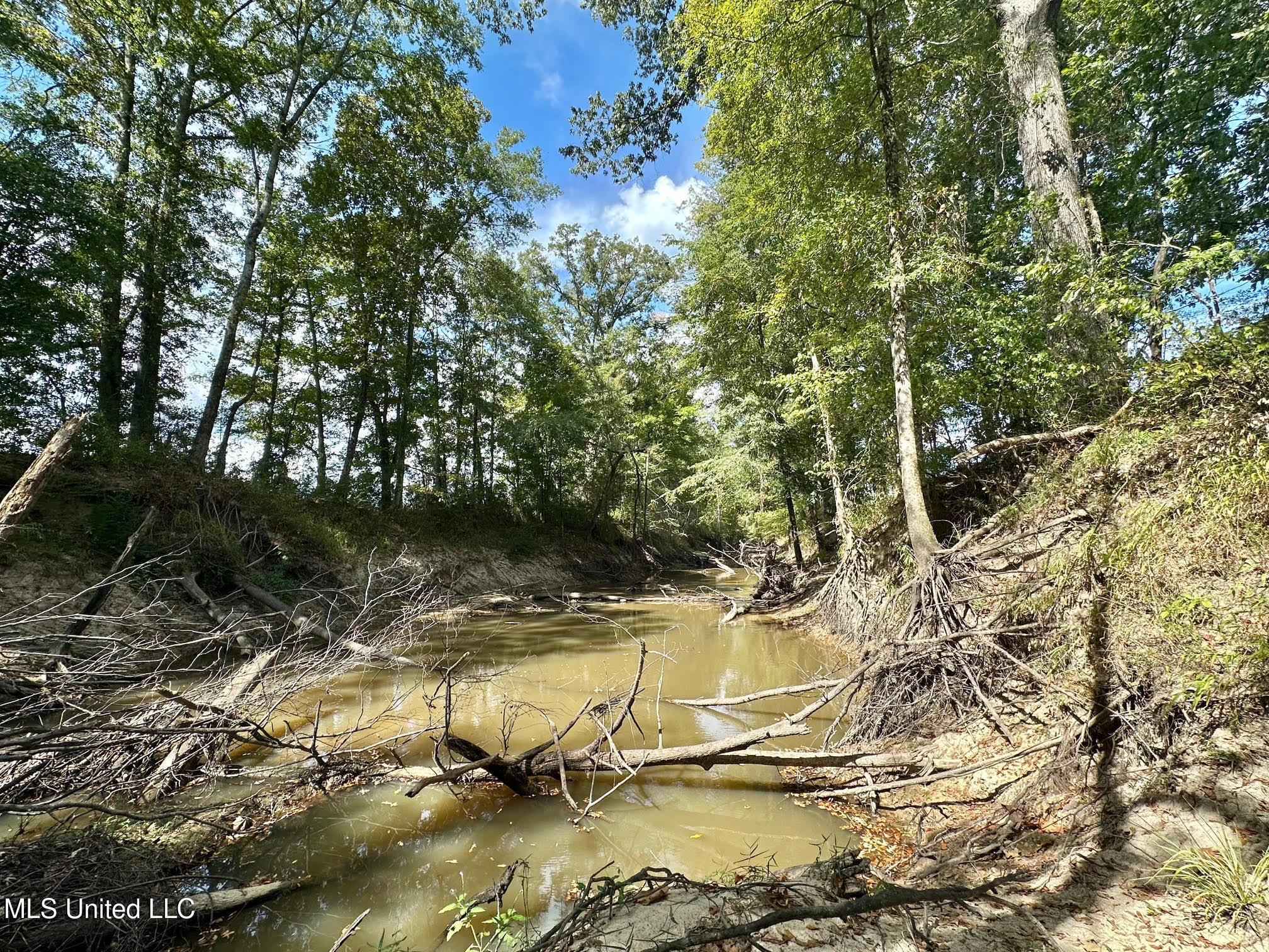 1 Highway 35 Property Photo 36