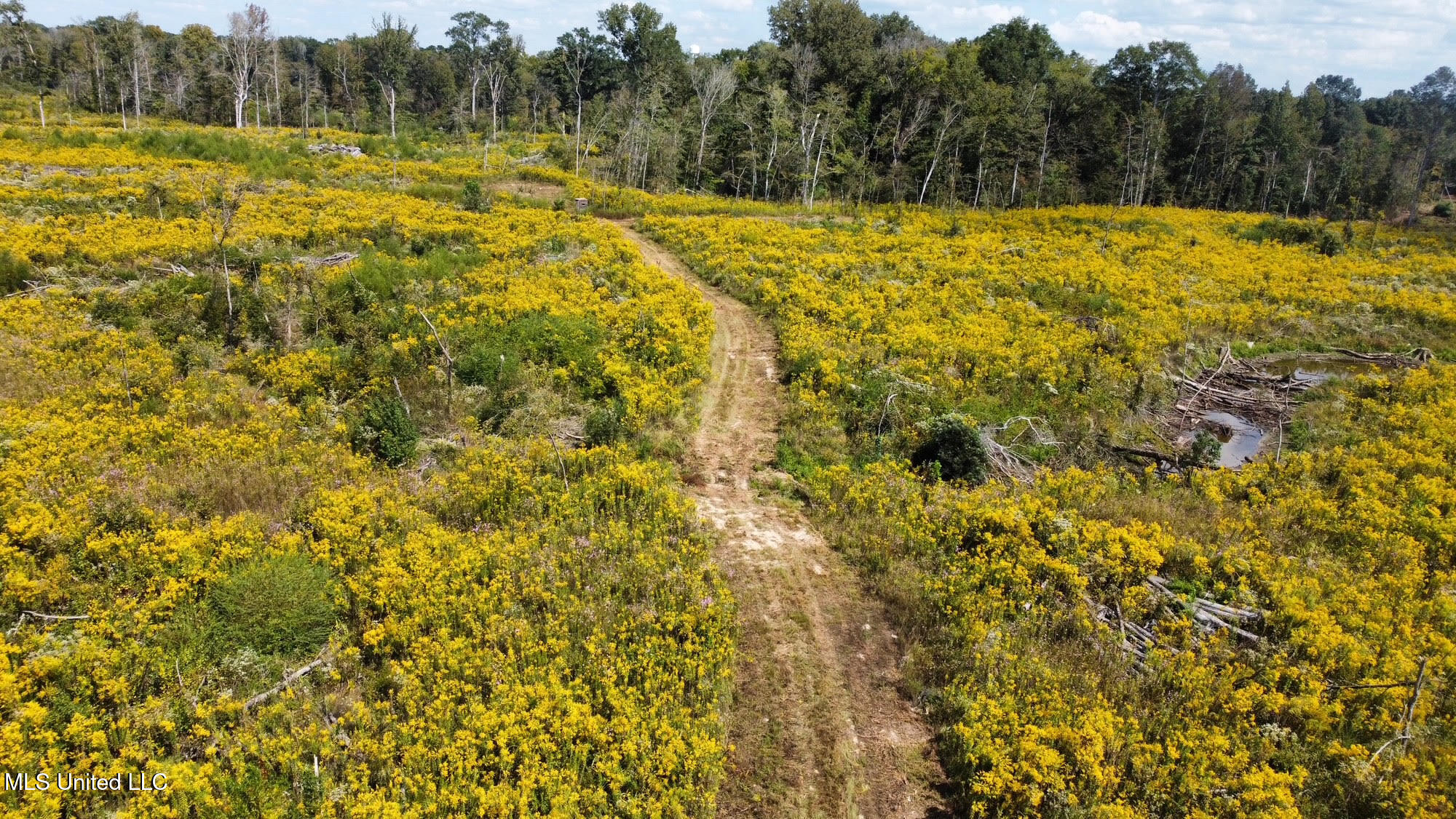 1 Highway 35 Property Photo 40