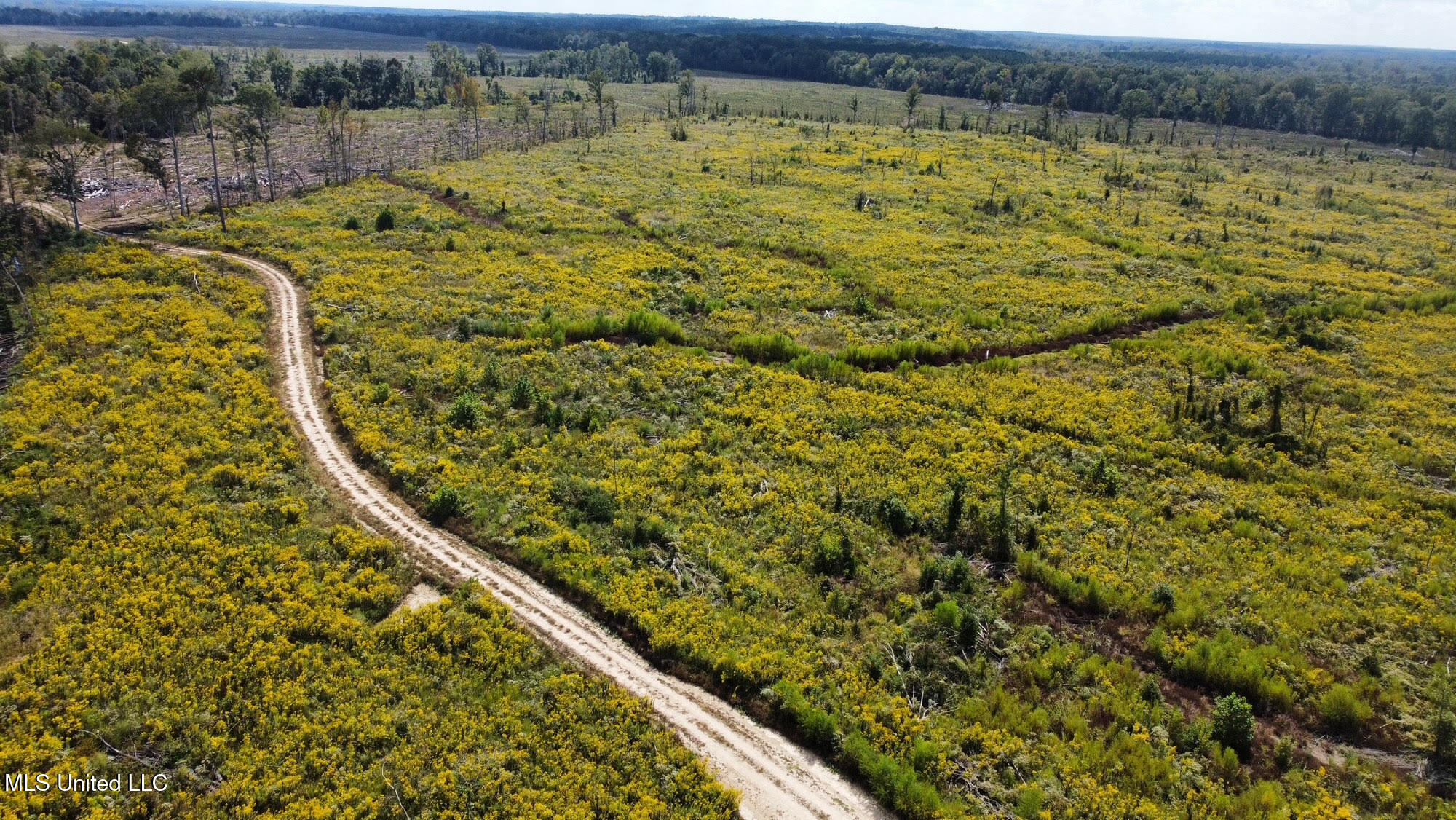 1 Highway 35 Property Photo 42