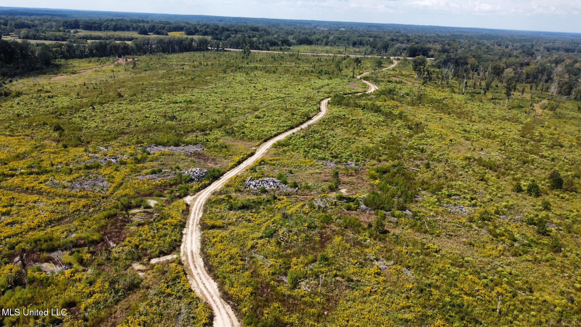 1 Highway 35 Property Photo 43