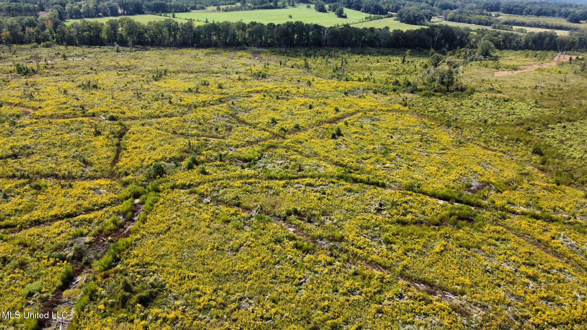 1 Highway 35 Property Photo 44