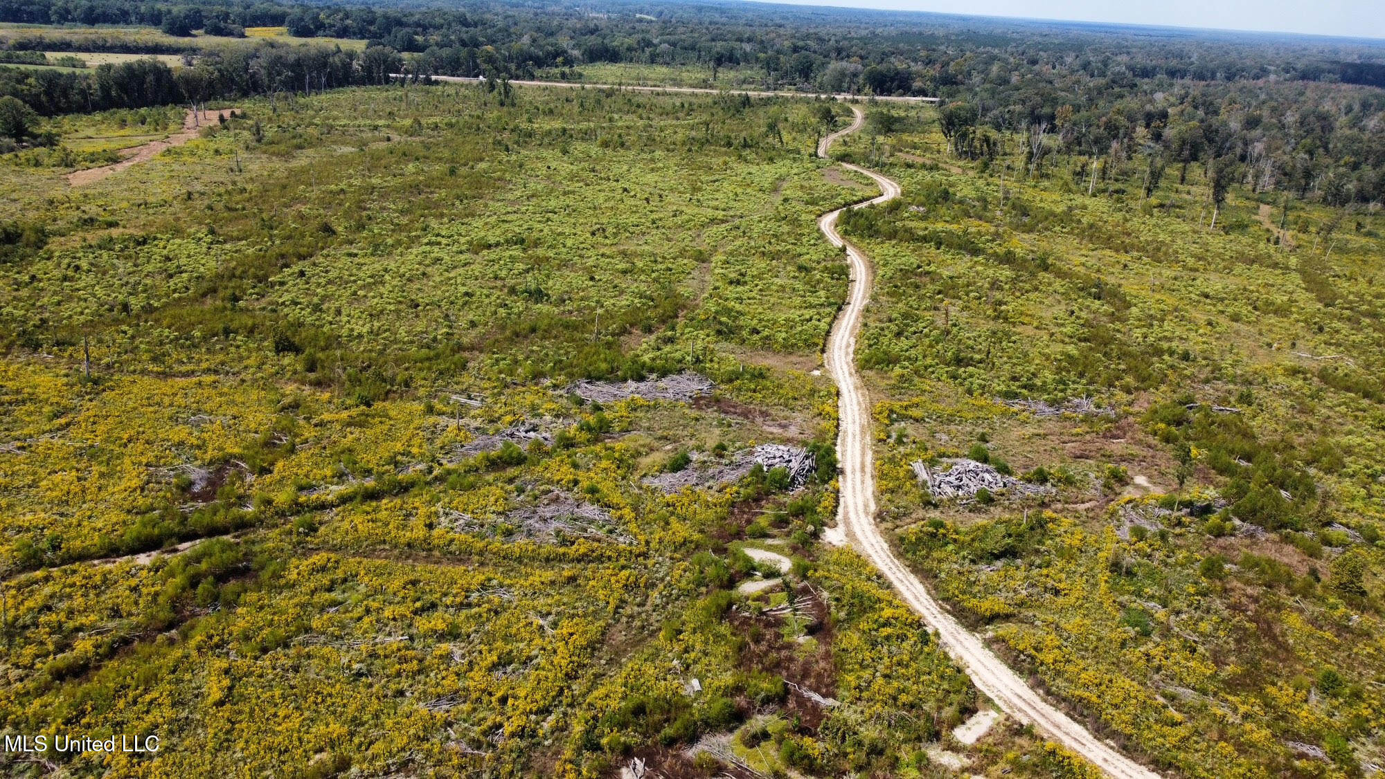 1 Highway 35 Property Photo 45