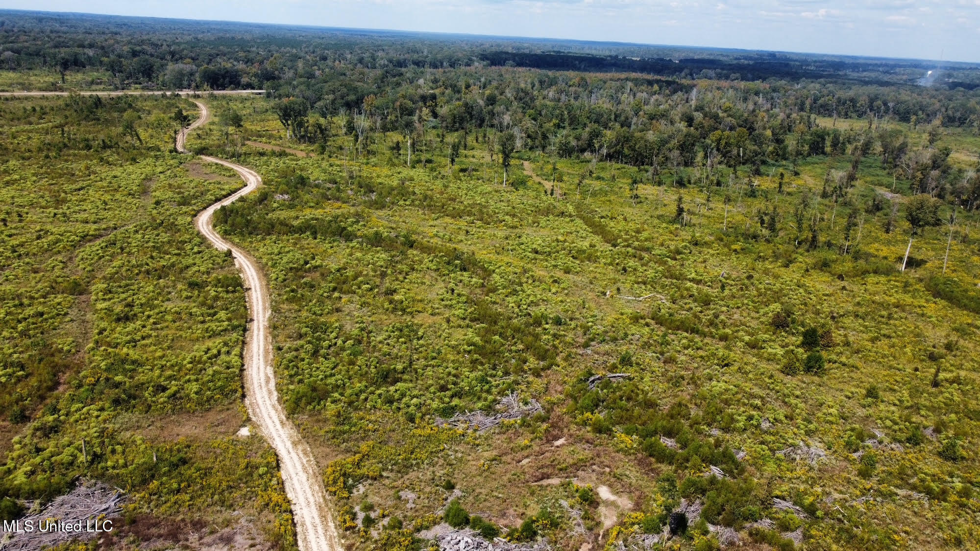 1 Highway 35 Property Photo 46