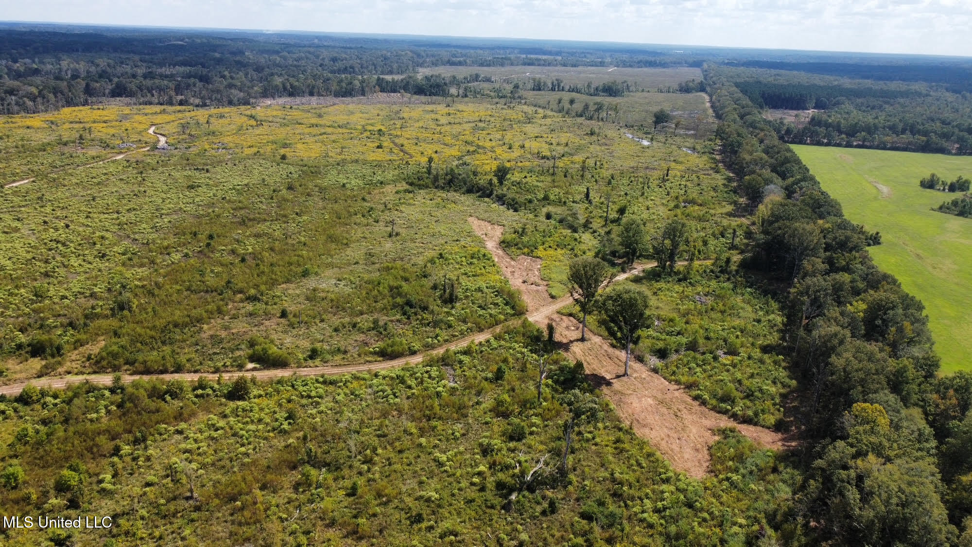 1 Highway 35 Property Photo 51