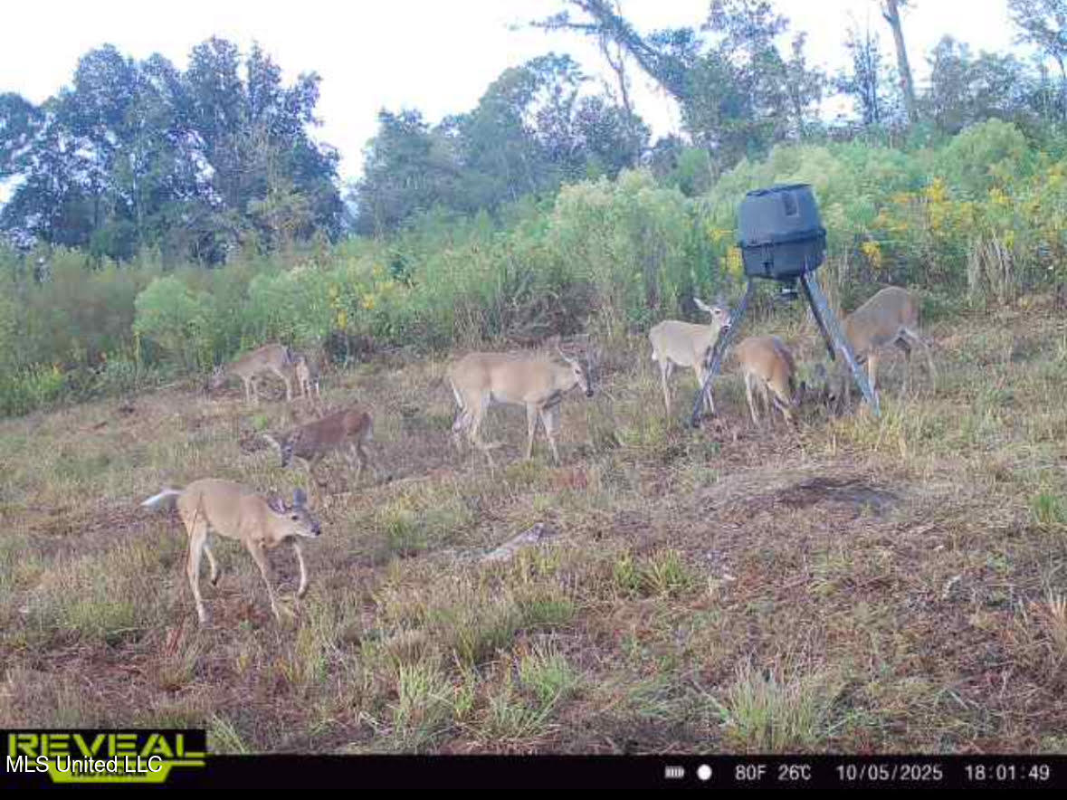 1 Highway 35 Property Photo 62