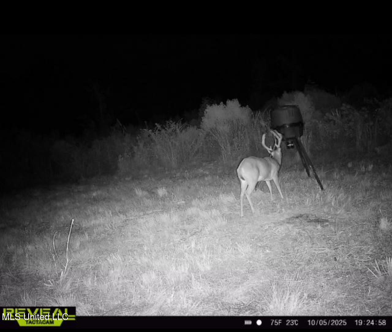 1 Highway 35 Property Photo 63