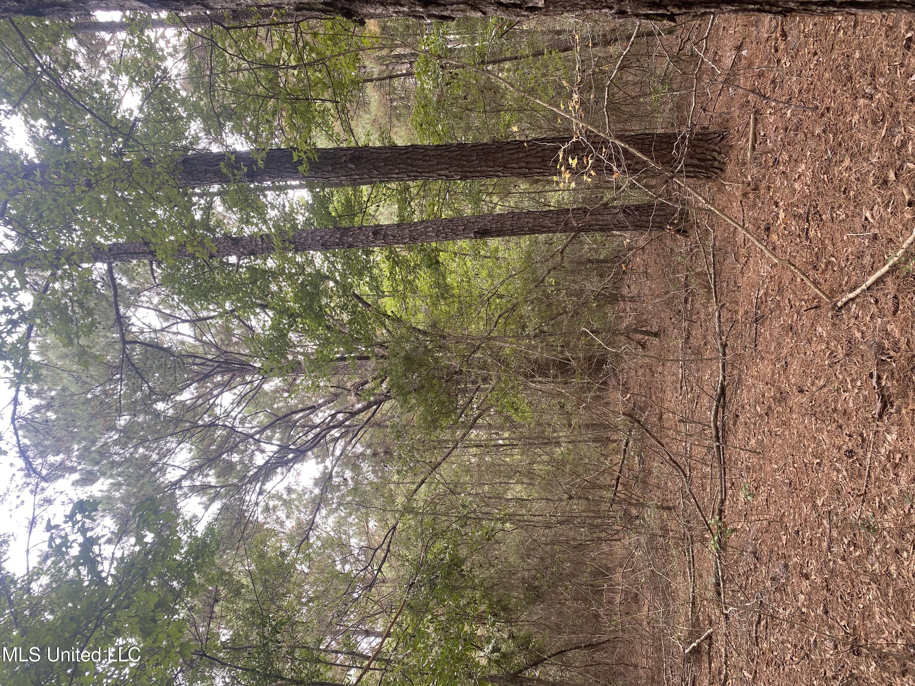 Pap Armstrong Road Property Photo 1