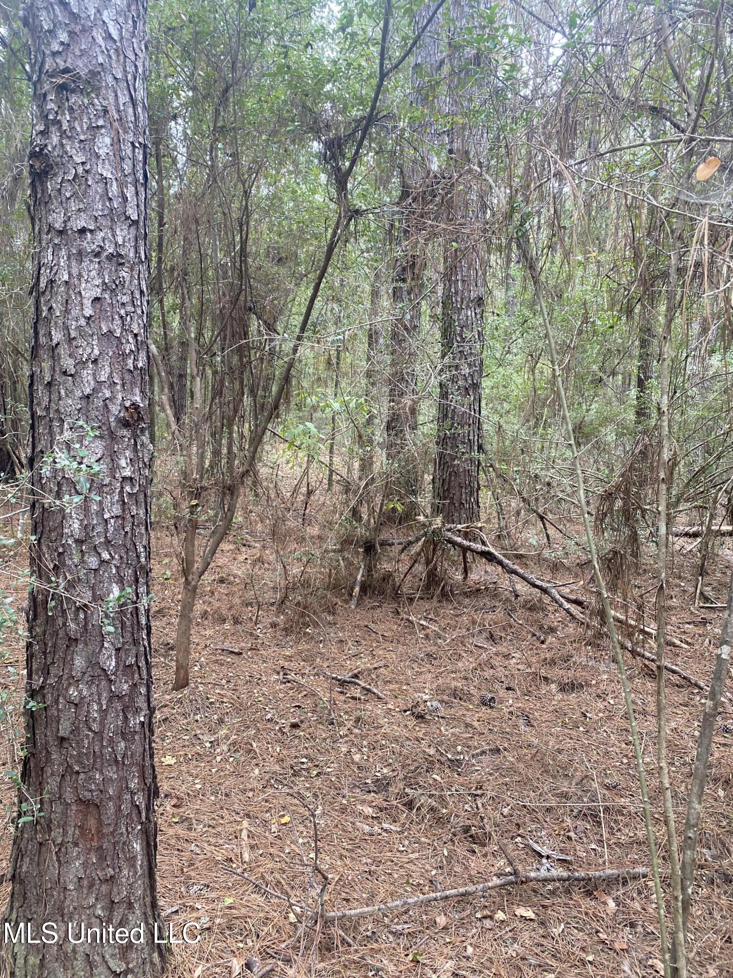 Pap Armstrong Road Property Photo 2