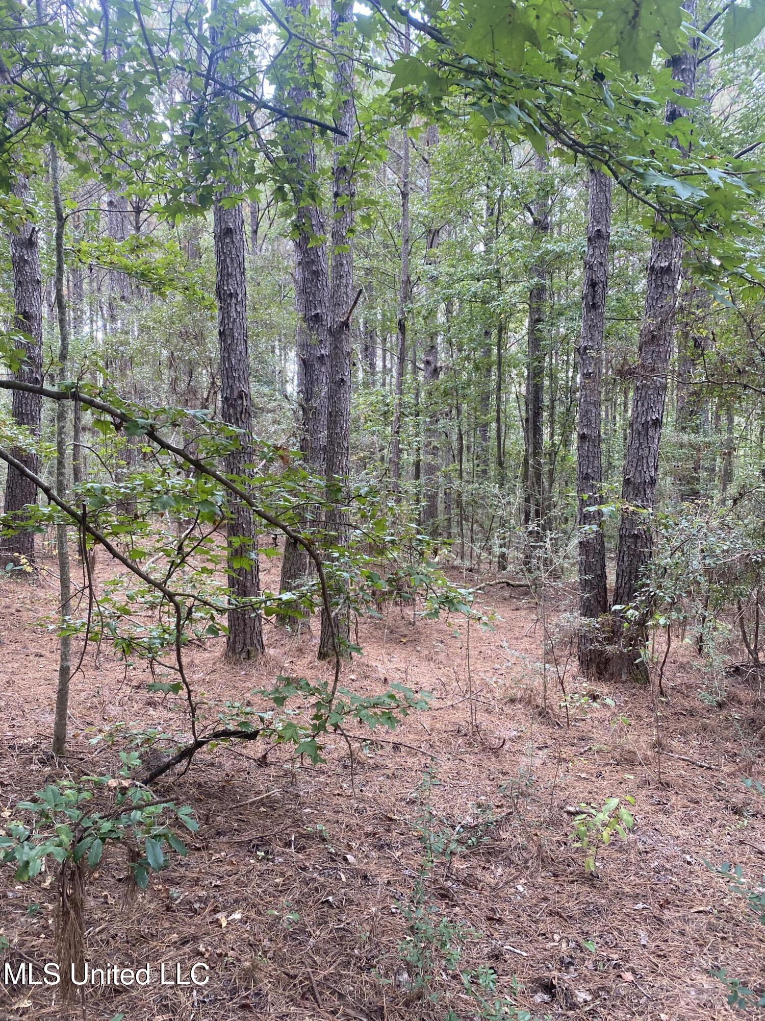 Pap Armstrong Road Property Photo 3