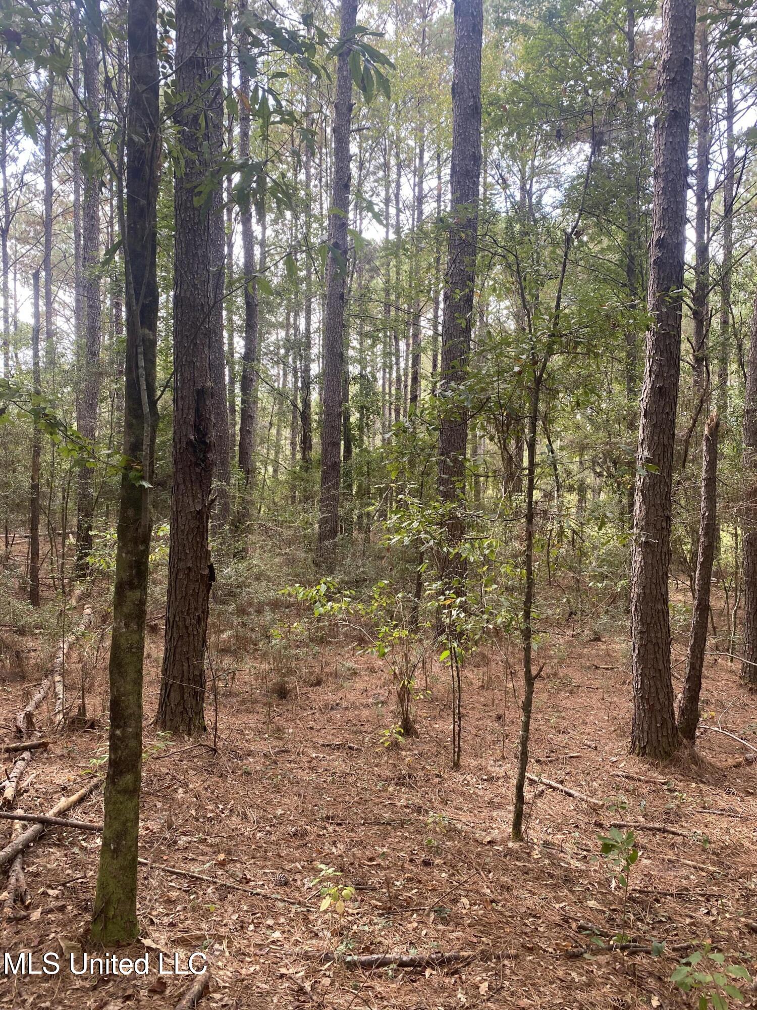 Pap Armstrong Road Property Photo 5