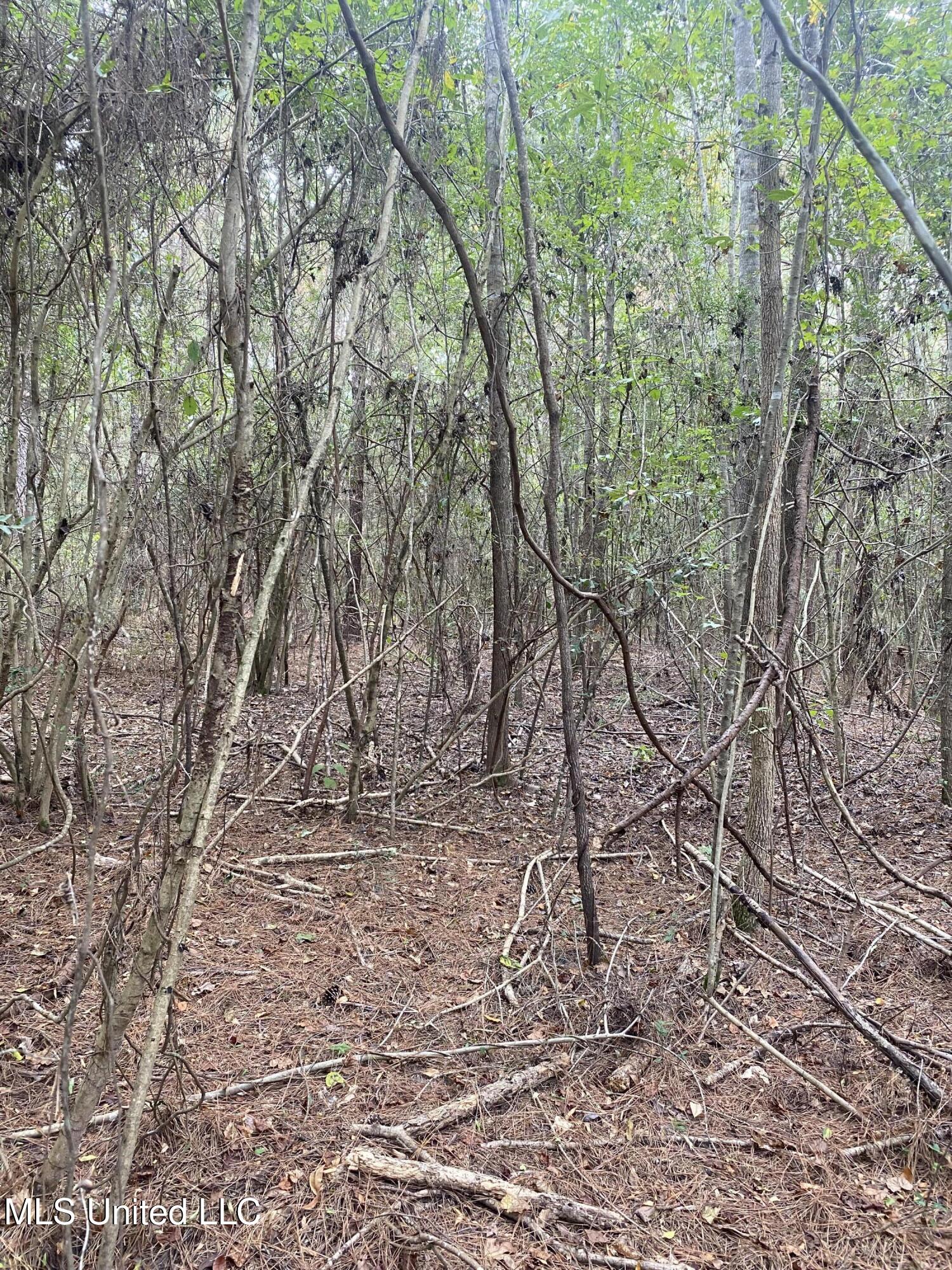 Pap Armstrong Road Property Photo 6