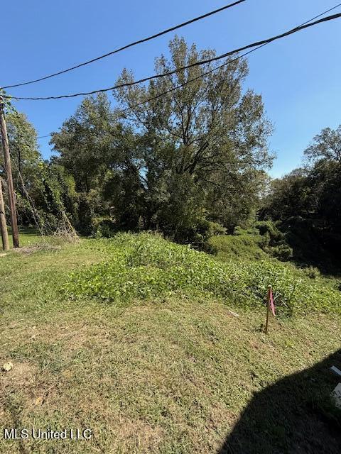 26 Cleothia Henyard Heights Property Photo 30