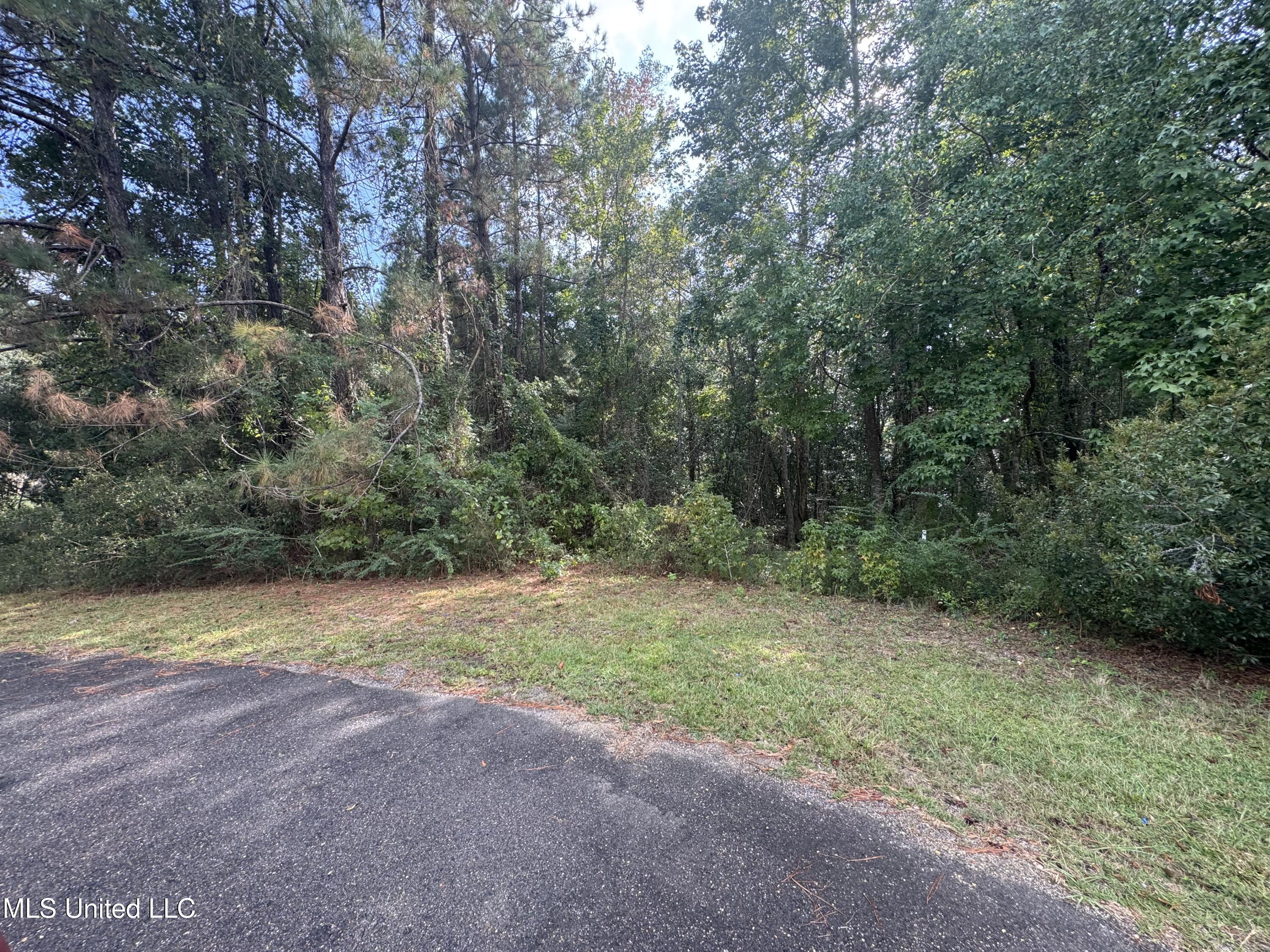 Cottage Lane Lane Property Photo 3