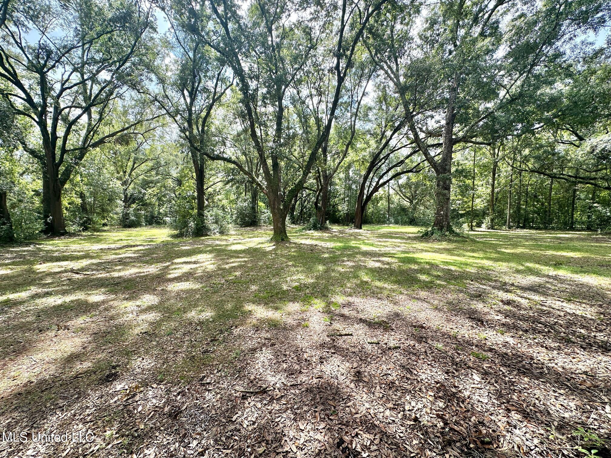 6001 Wooded Acres Road Property Photo 59