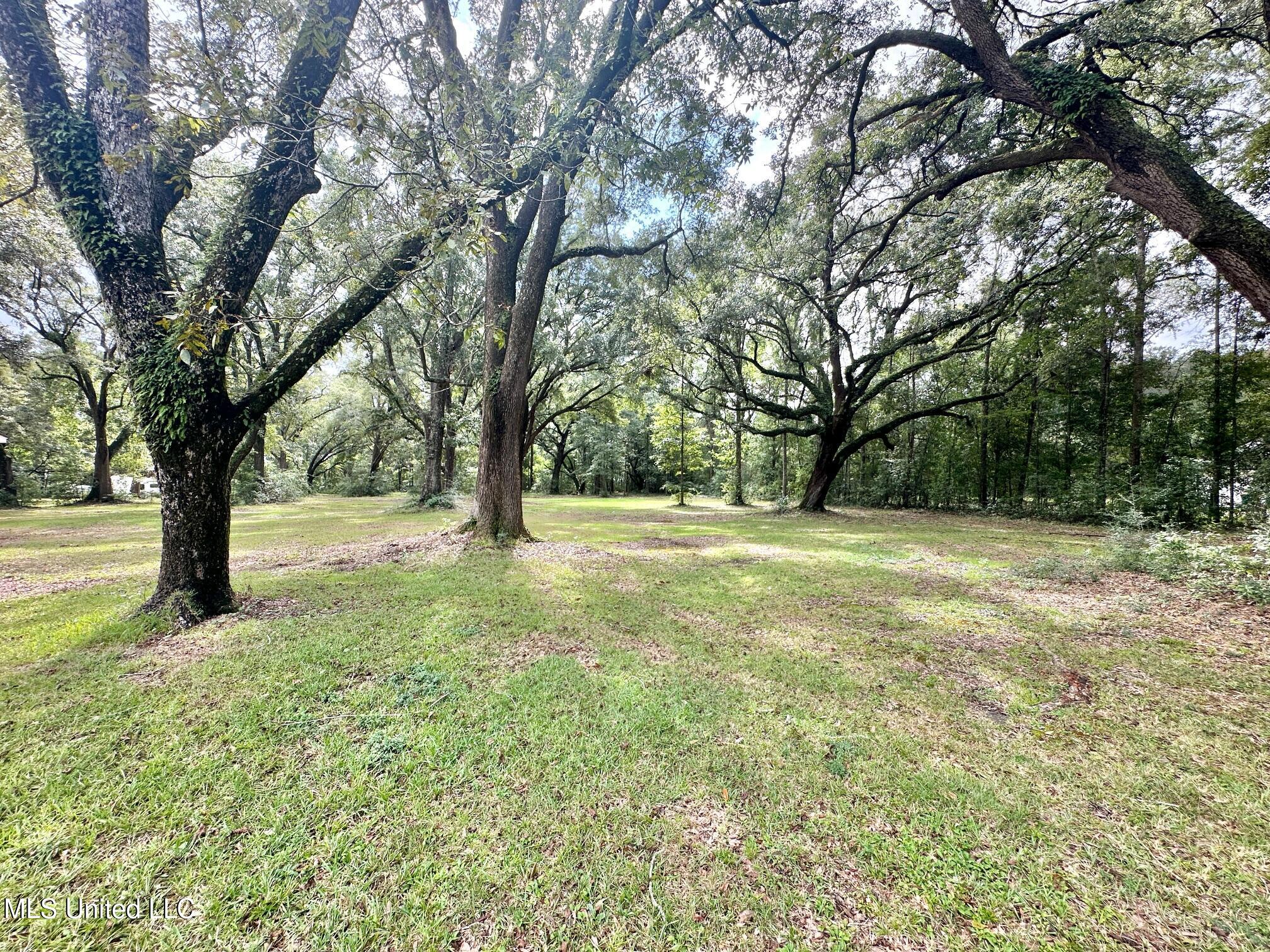 6001 Wooded Acres Road Property Photo 61