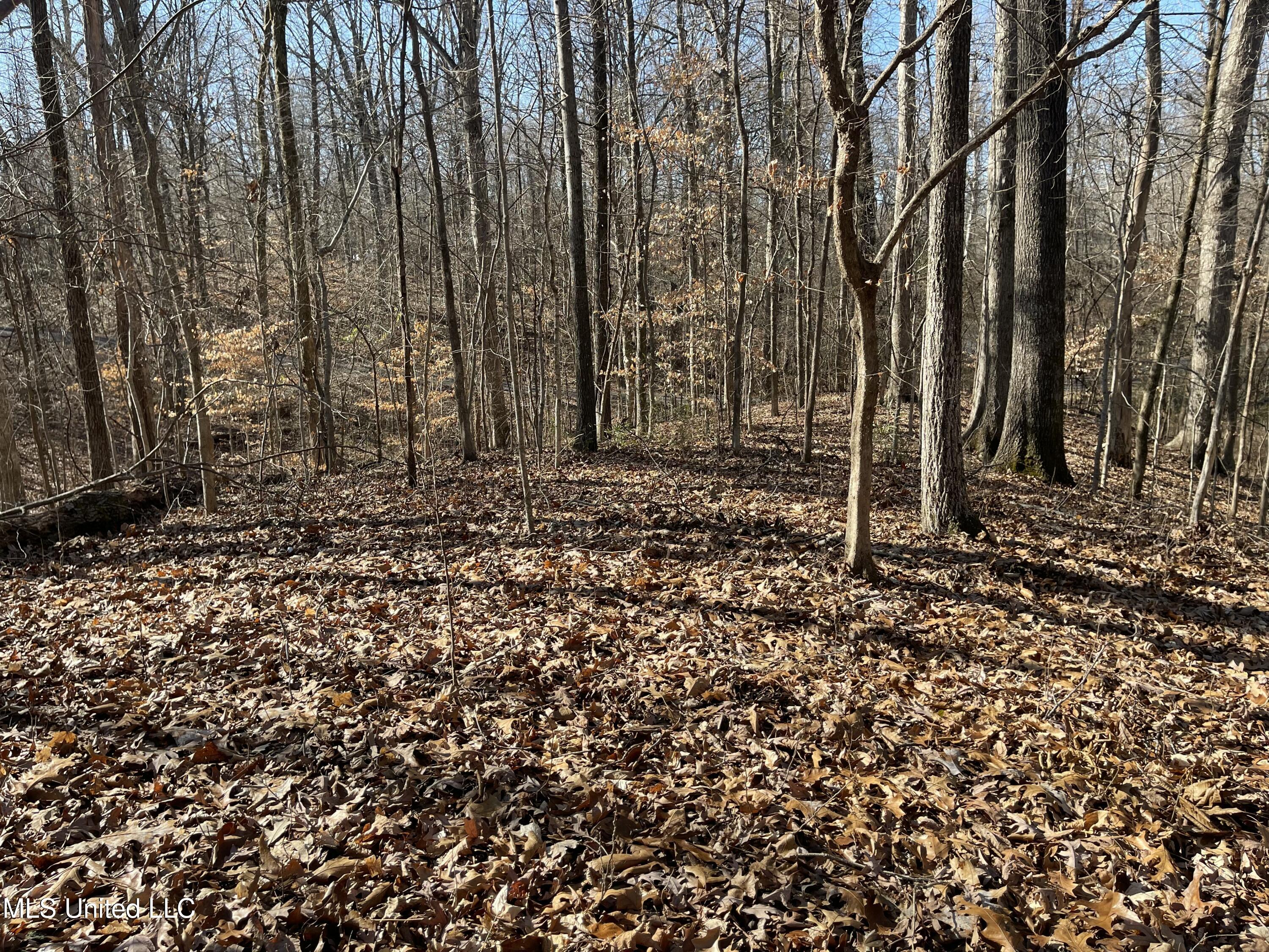 2311 Pocahontas Cove Property Photo 1