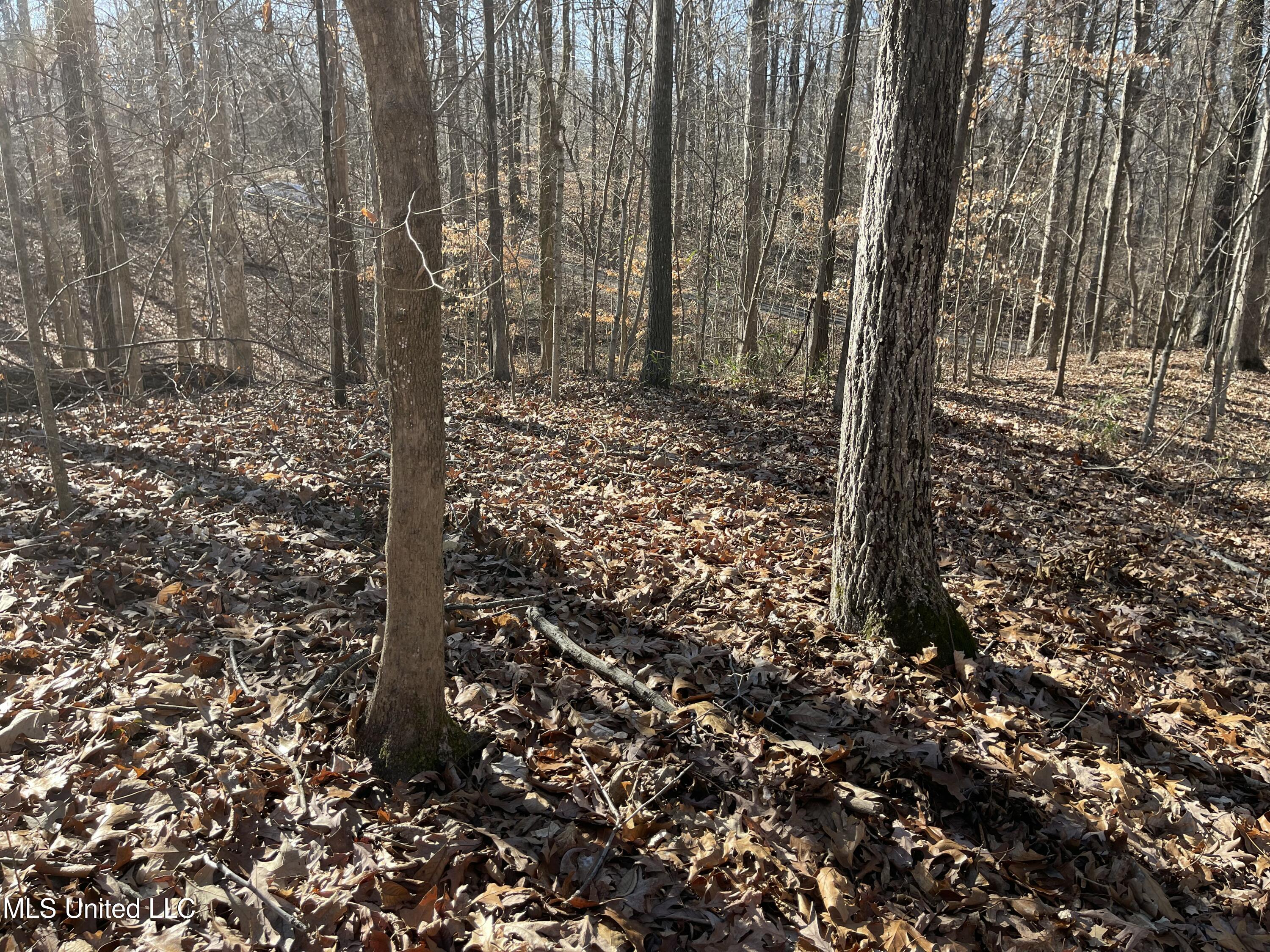2311 Pocahontas Cove Property Photo 2
