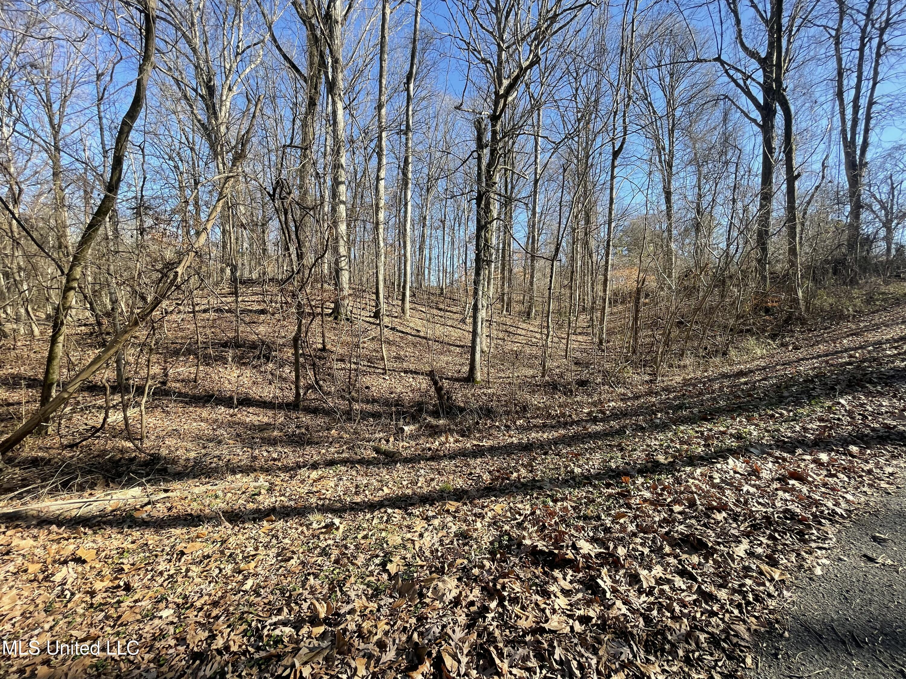 2311 Pocahontas Cove Property Photo 6