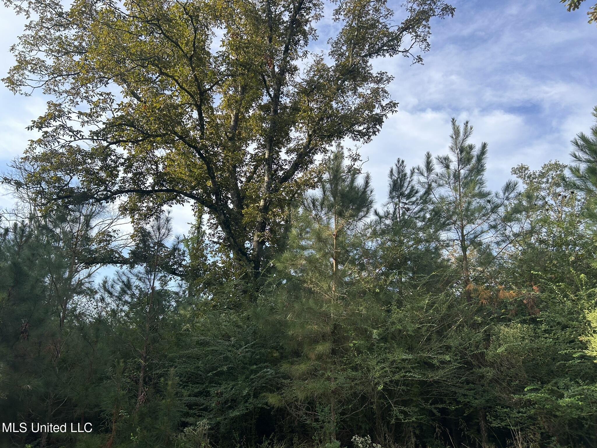 Tbd N River Road Property Photo 3