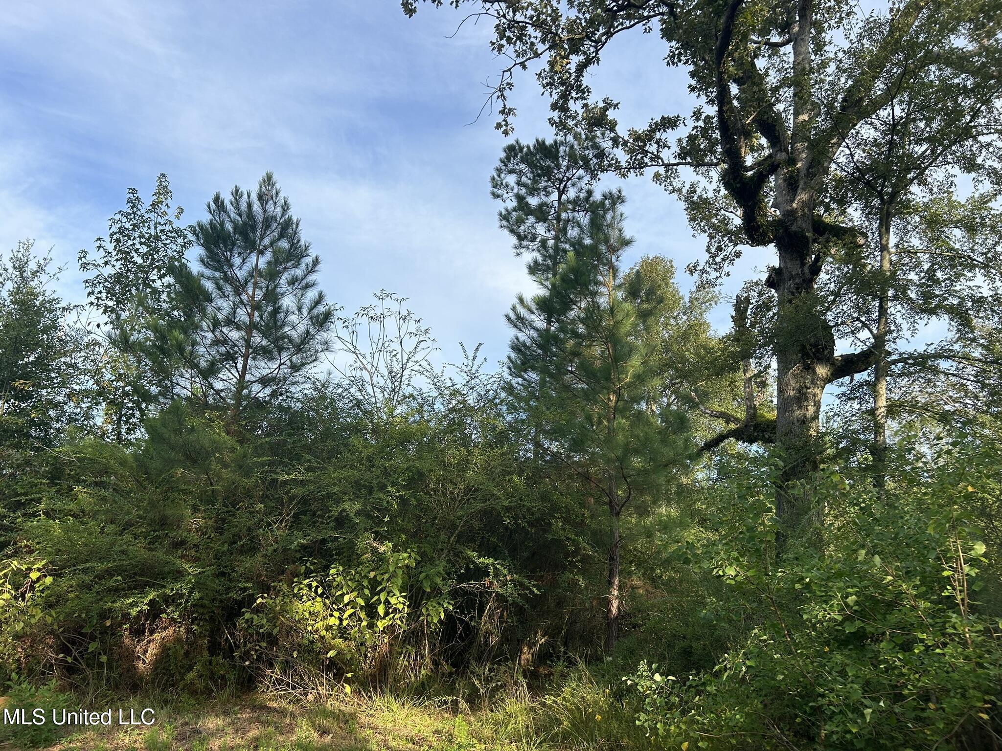 Tbd N River Road Property Photo 4