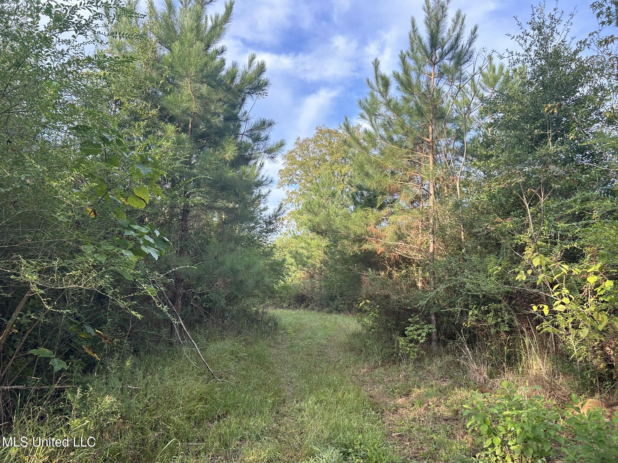 Tbd N River Road Property Photo 5