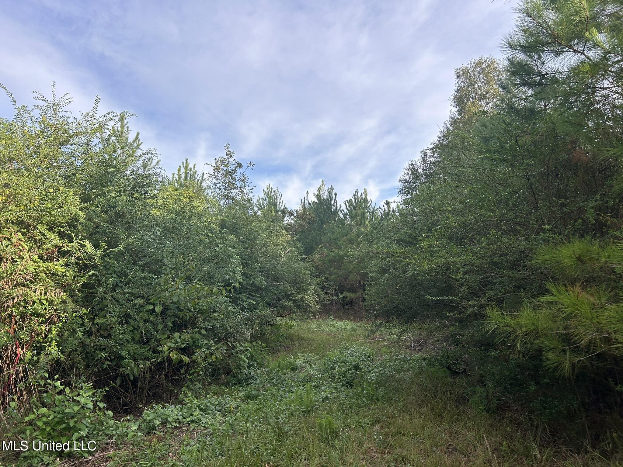 Tbd N River Road Property Photo 6