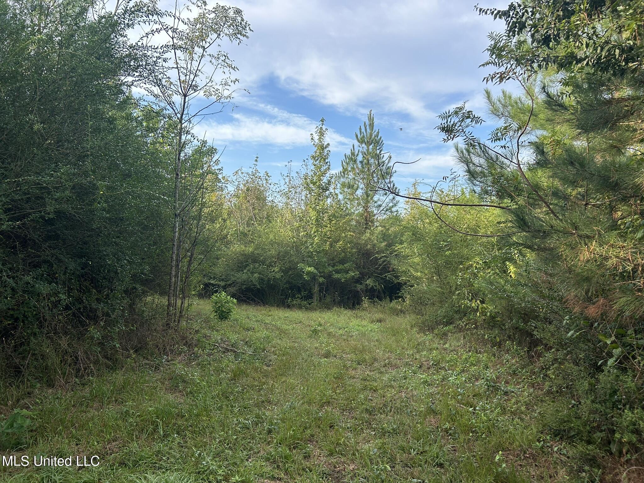 Tbd N River Road Property Photo 7