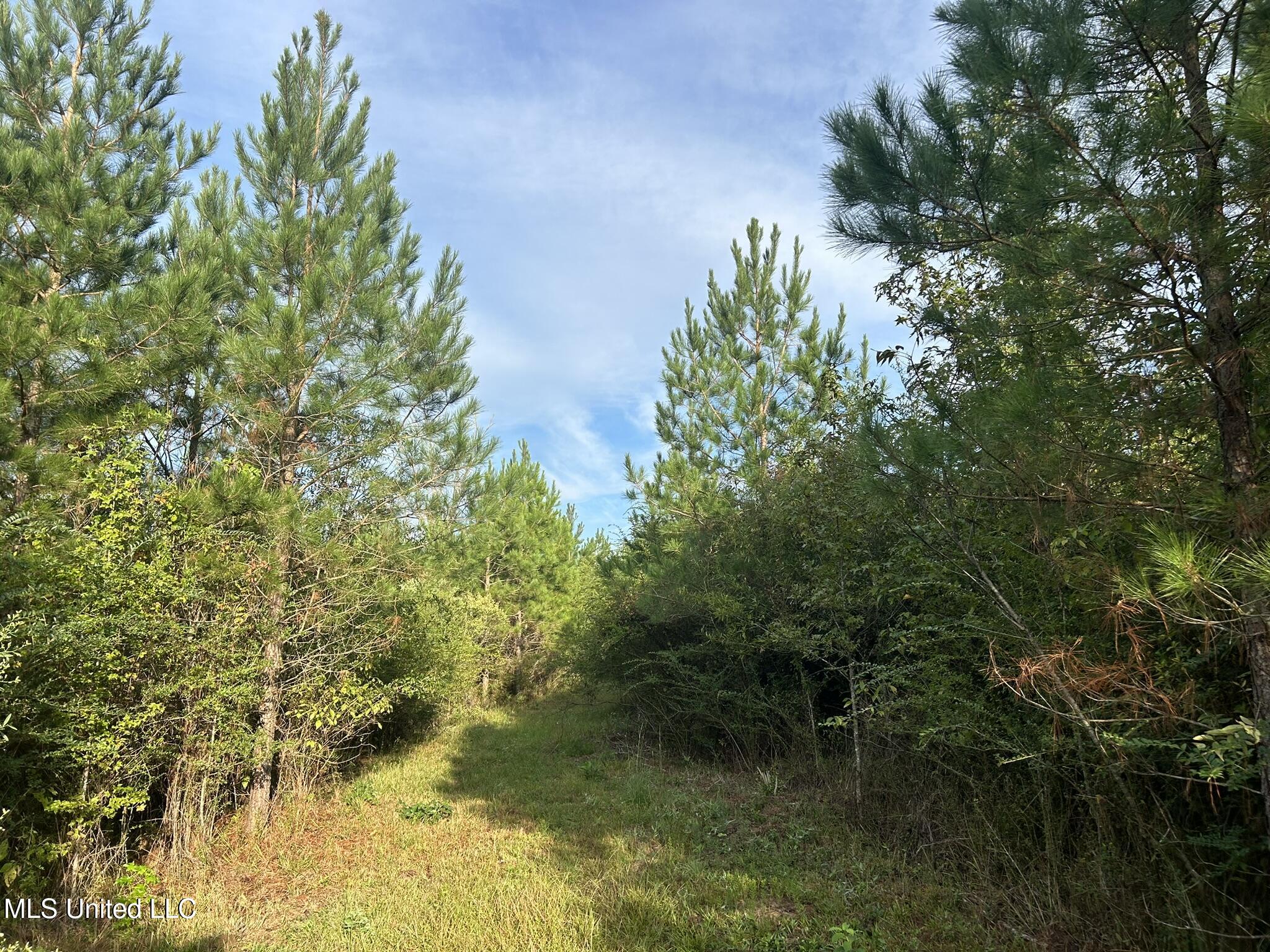 Tbd N River Road Property Photo 8