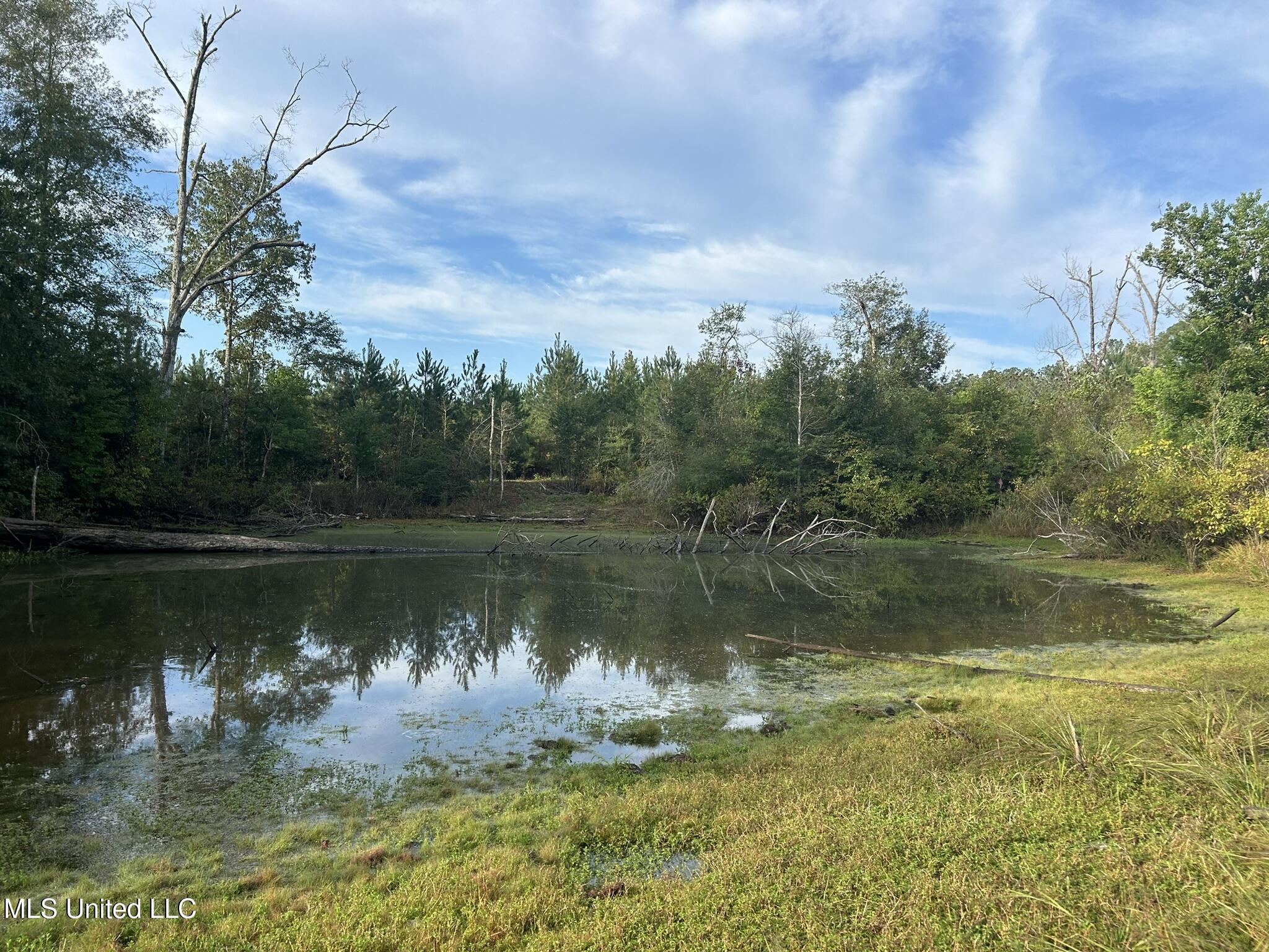 Tbd N River Road Property Photo 9