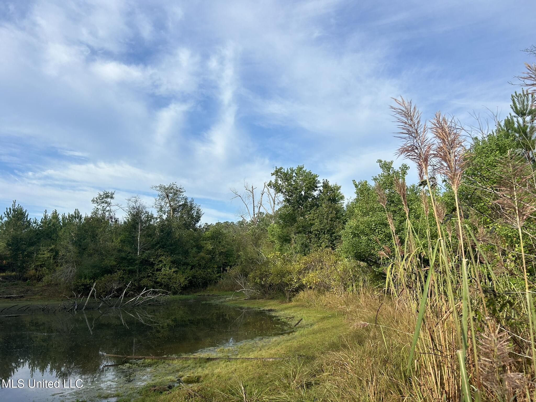 Tbd N River Road Property Photo 10