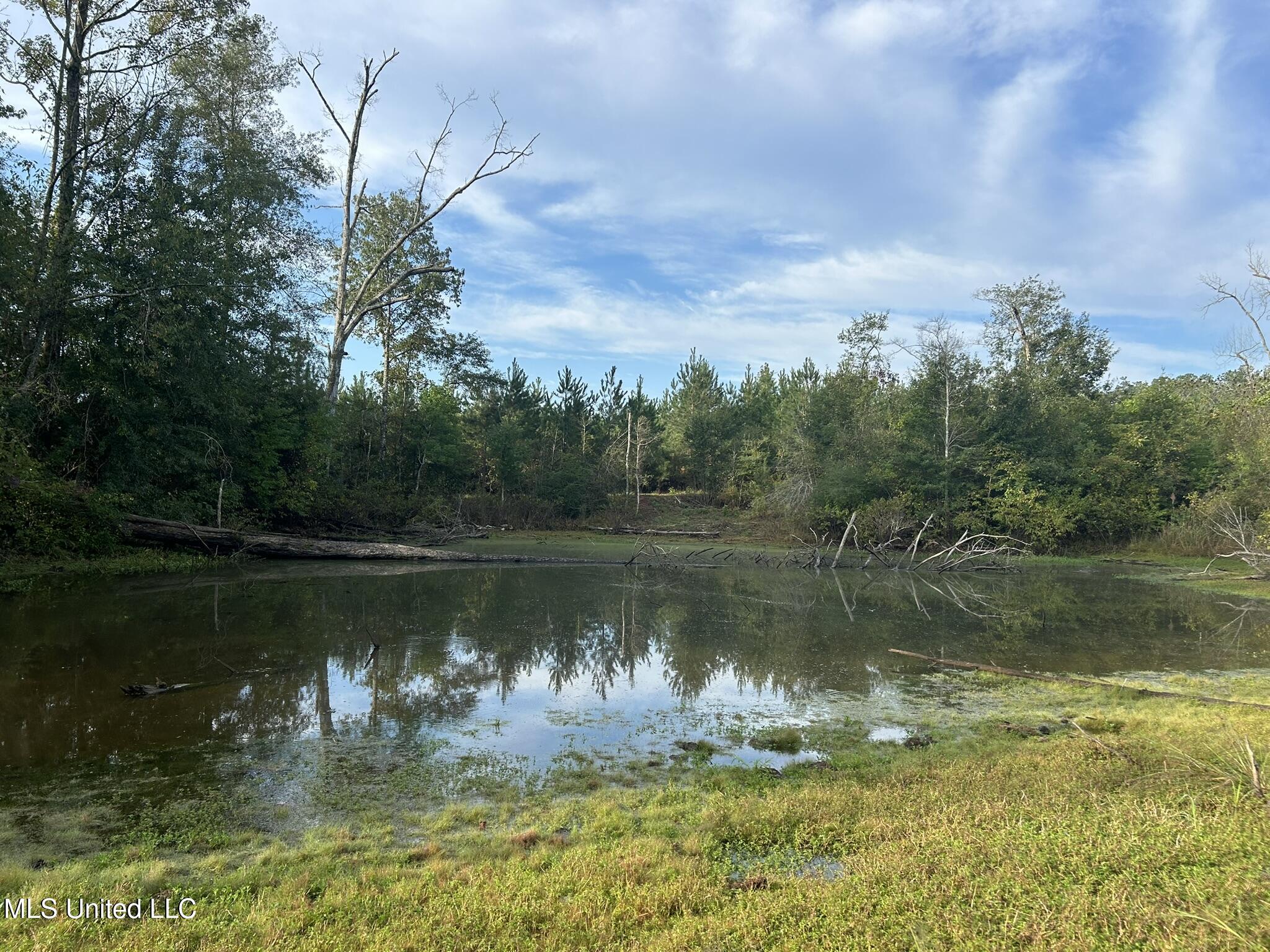 Tbd N River Road Property Photo 11