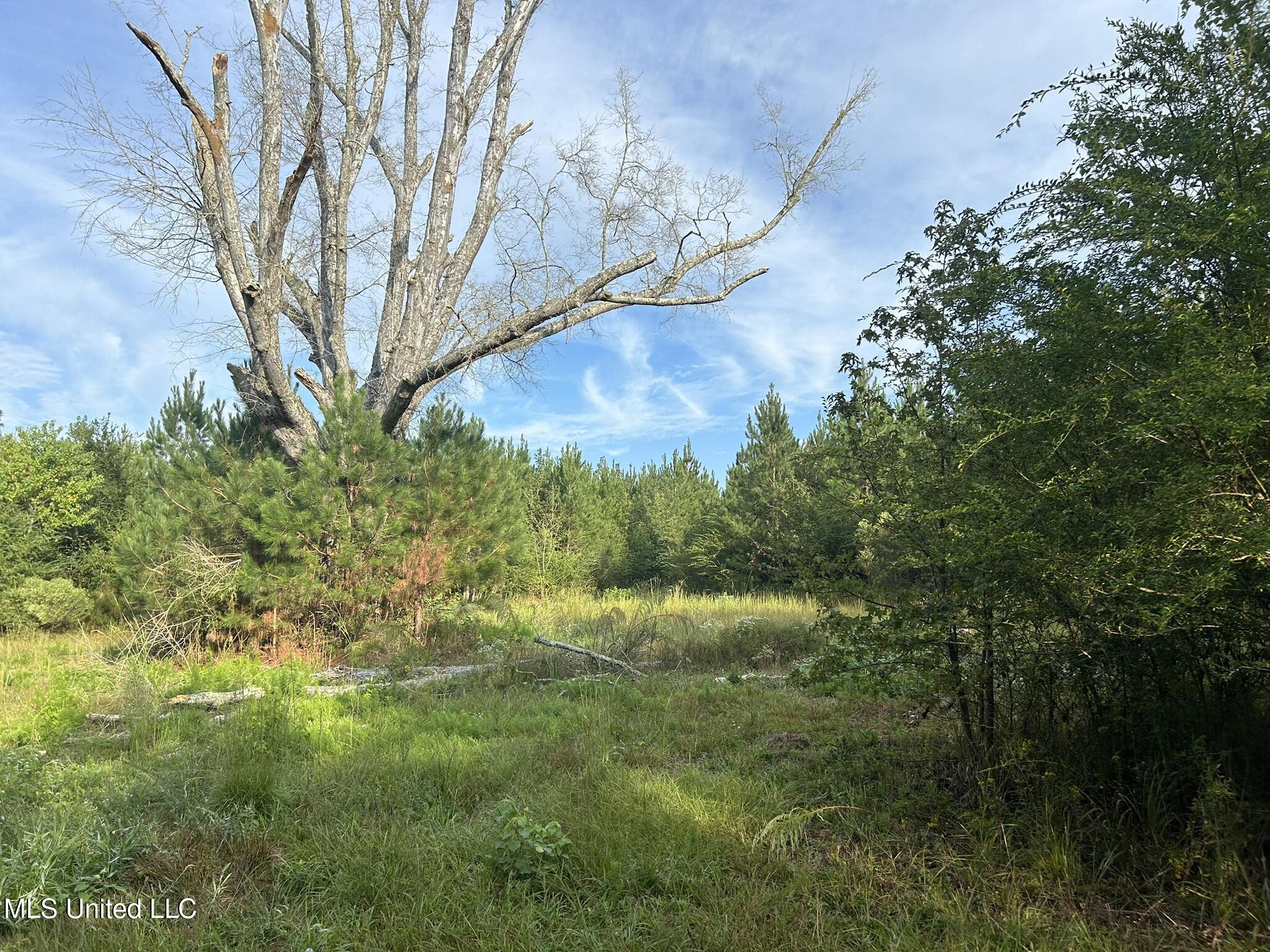 Tbd N River Road Property Photo 12