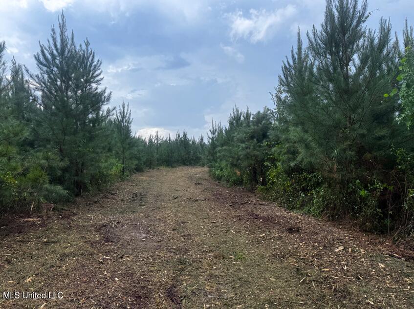 Ms Hwy 540