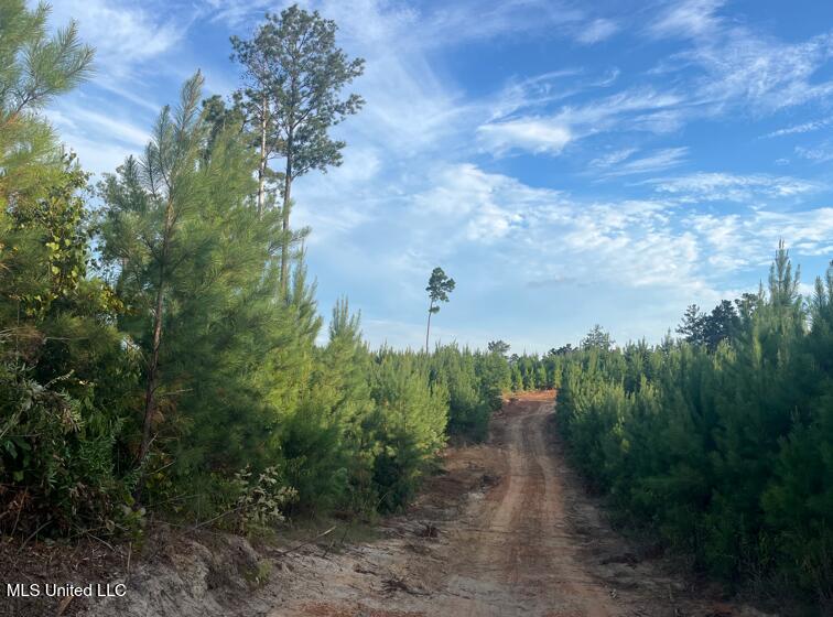 Ms Hwy 540 Property Photo 2