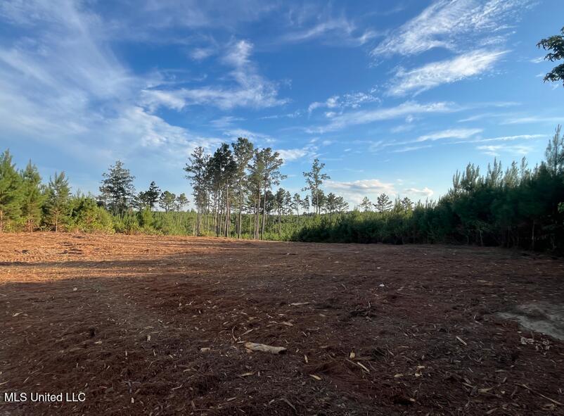 Ms Hwy 540 Property Photo 3