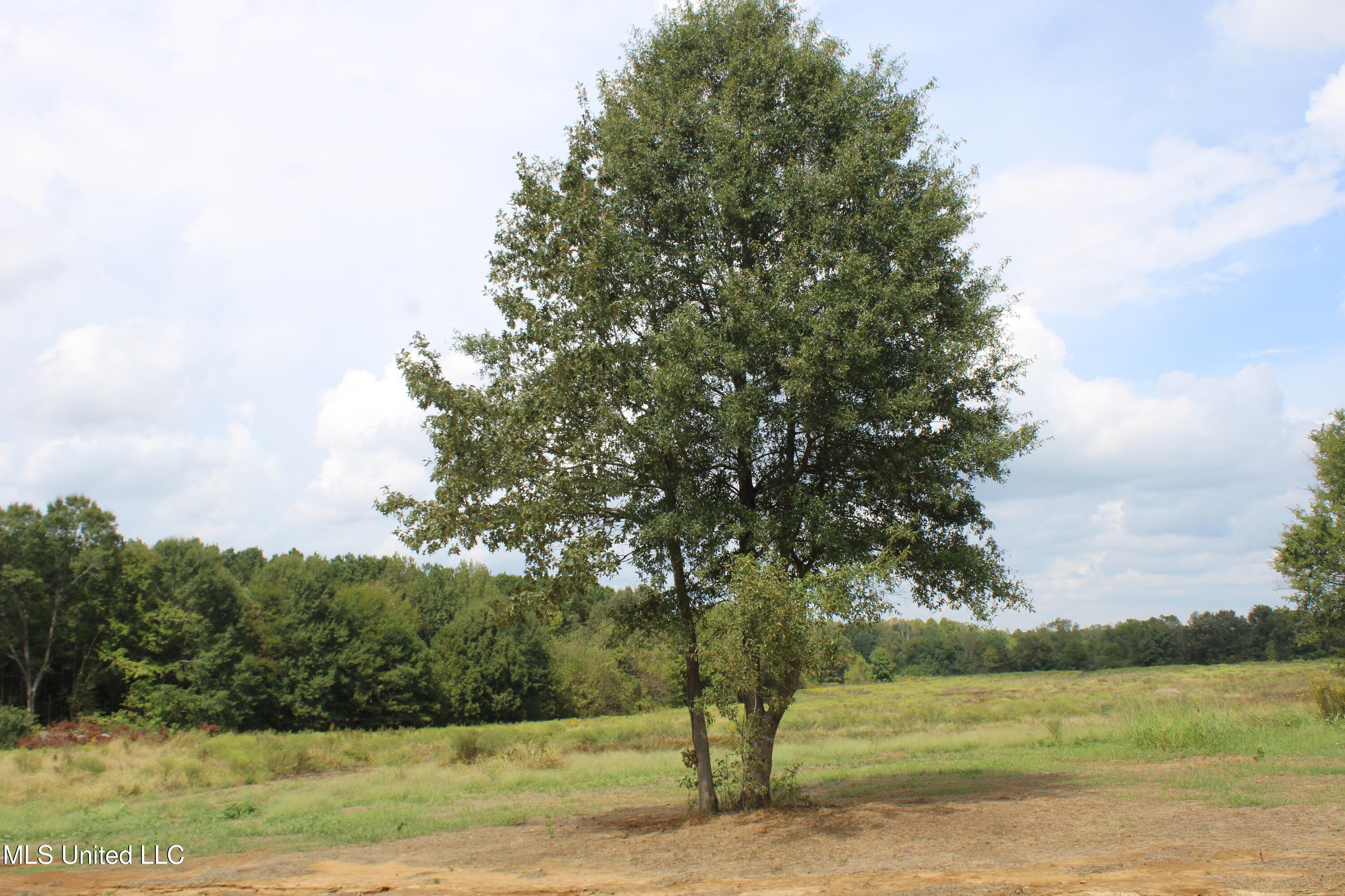 1 Hickory Hollow Road Property Photo 40