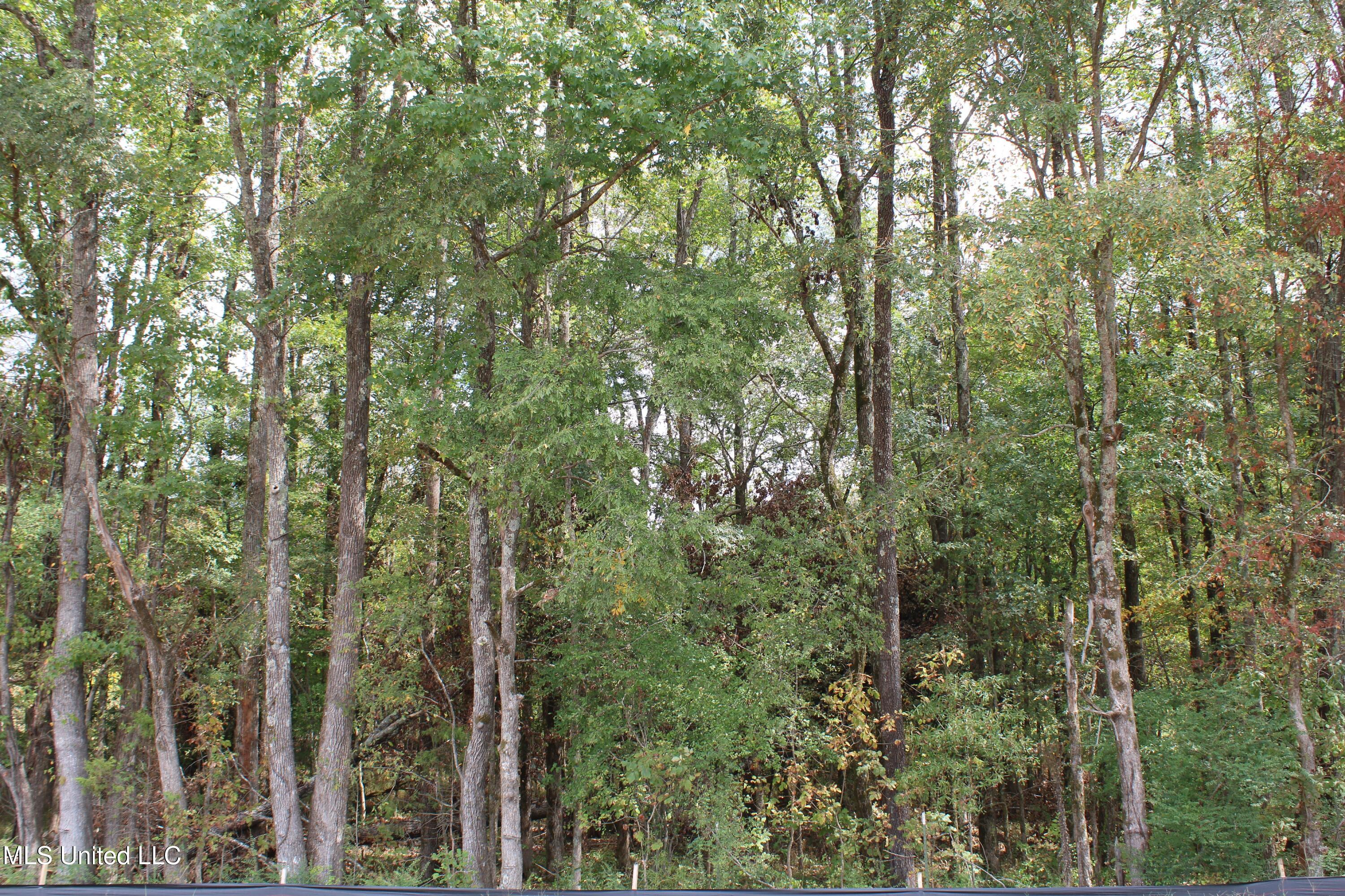 1 Hickory Hollow Road Property Photo 62