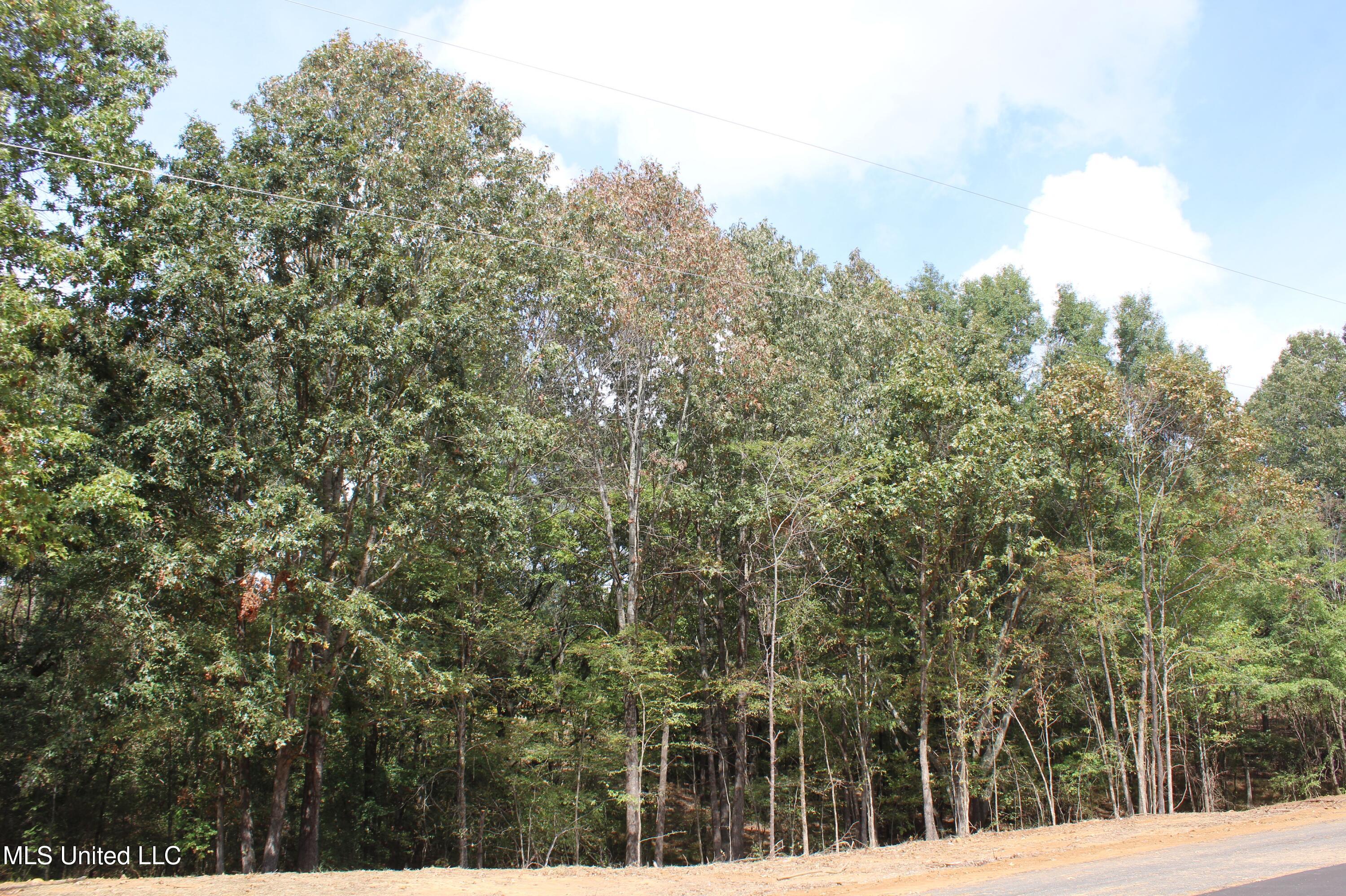 3 Hickory Hollow Road Property Photo 20