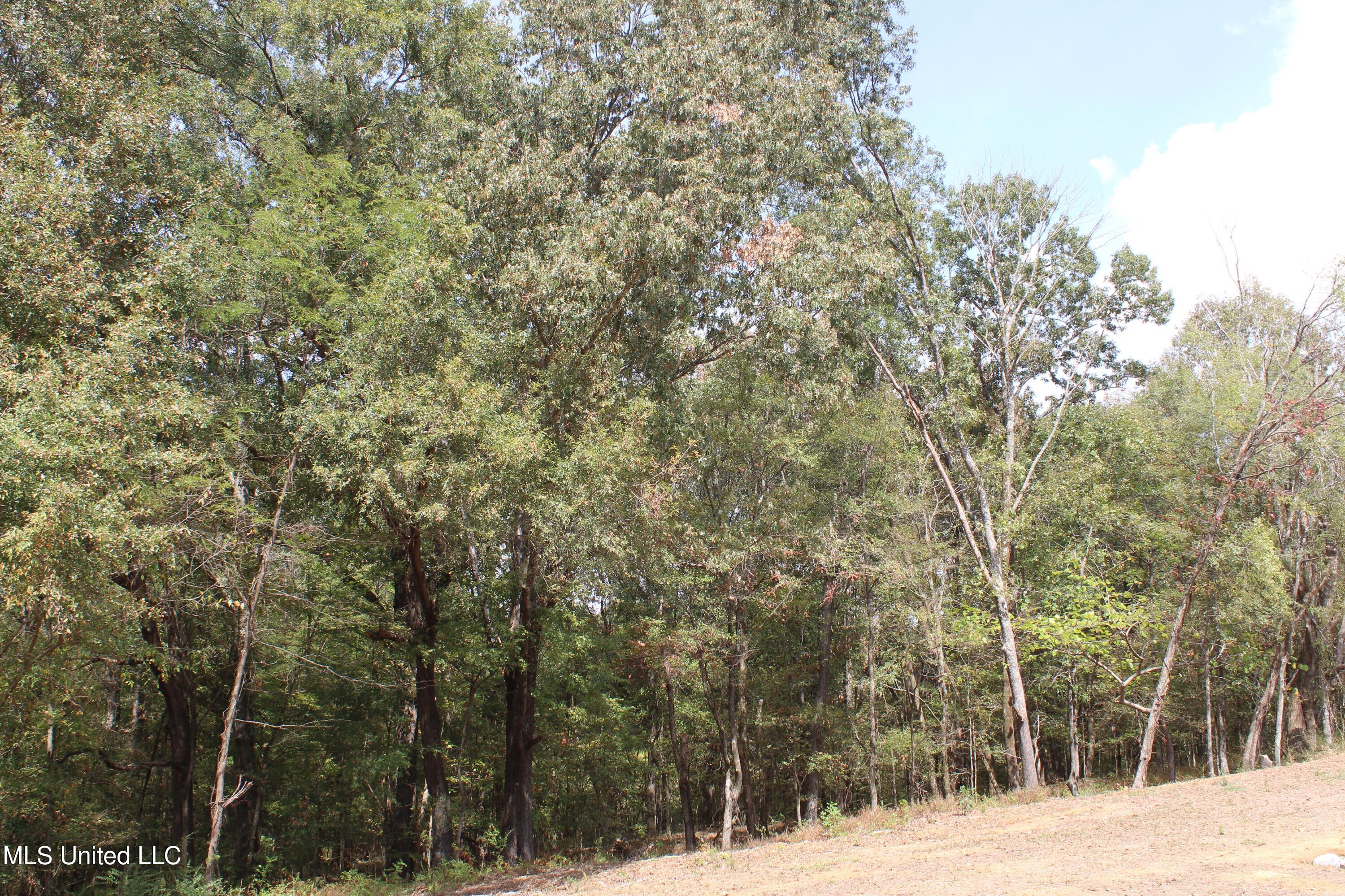 3 Hickory Hollow Road Property Photo 30